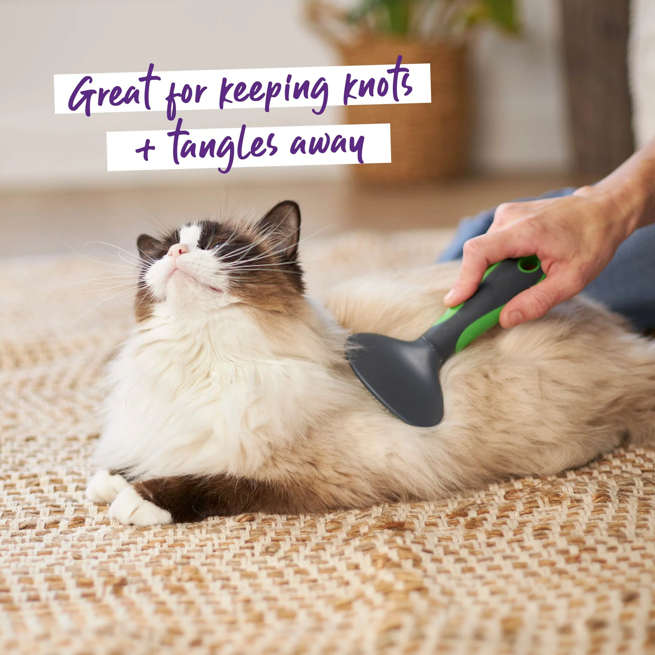 Cat Slicker Brush - Image 2