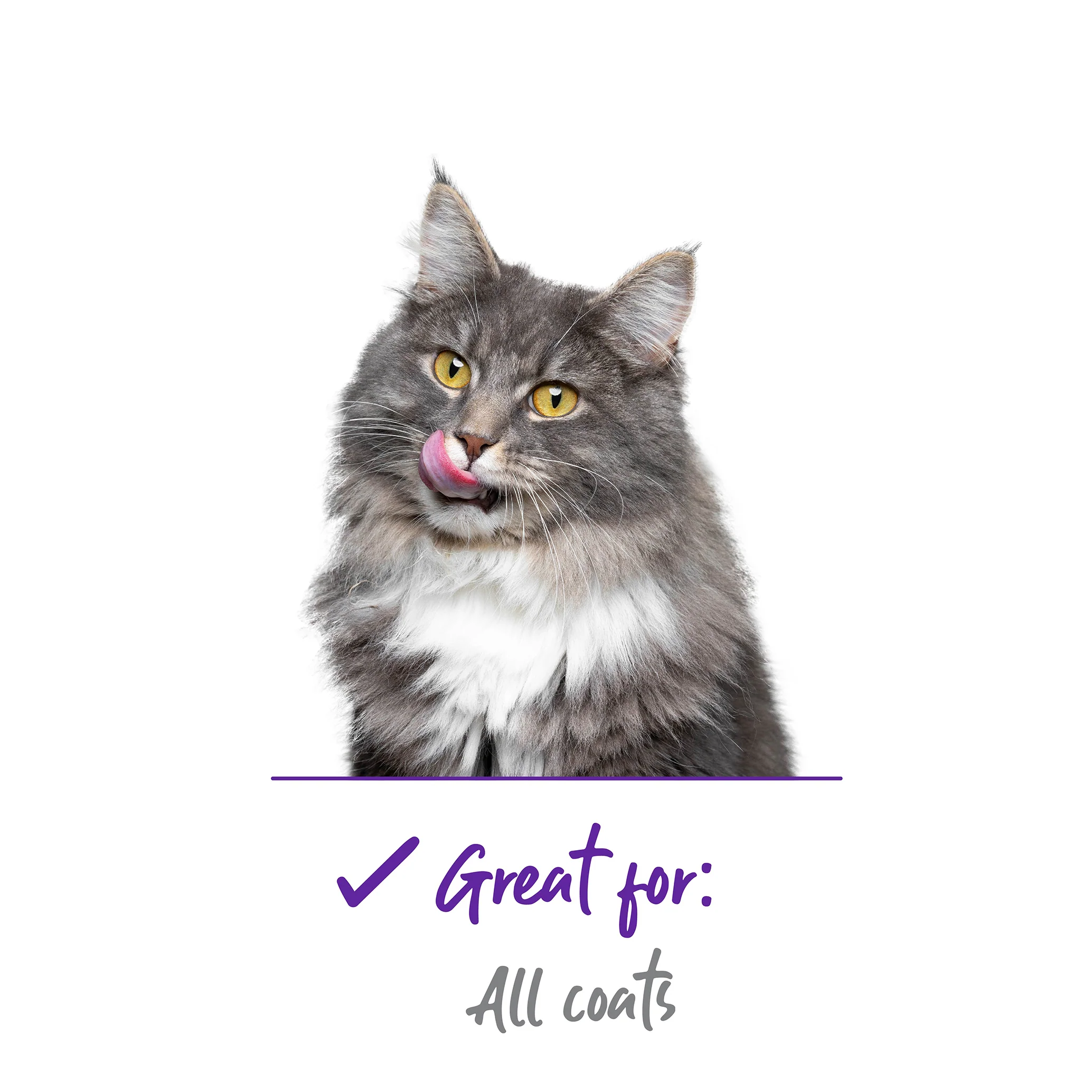 Cat Slicker Brush - Image 3