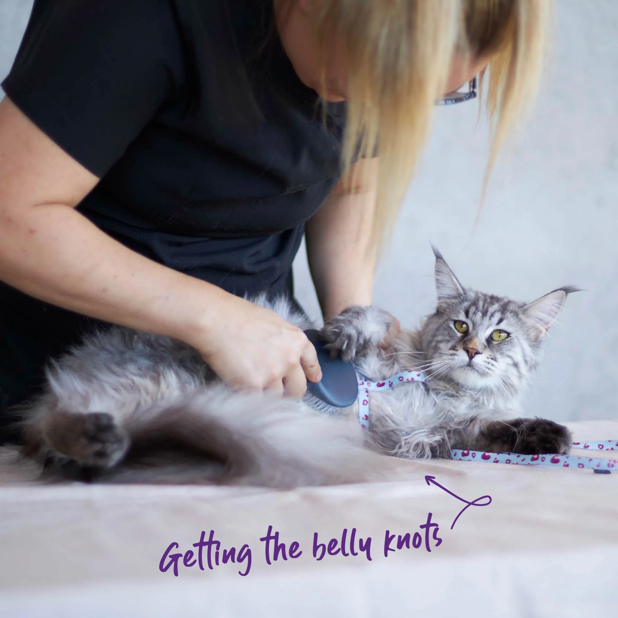 Cat Slicker Brush - Image 4