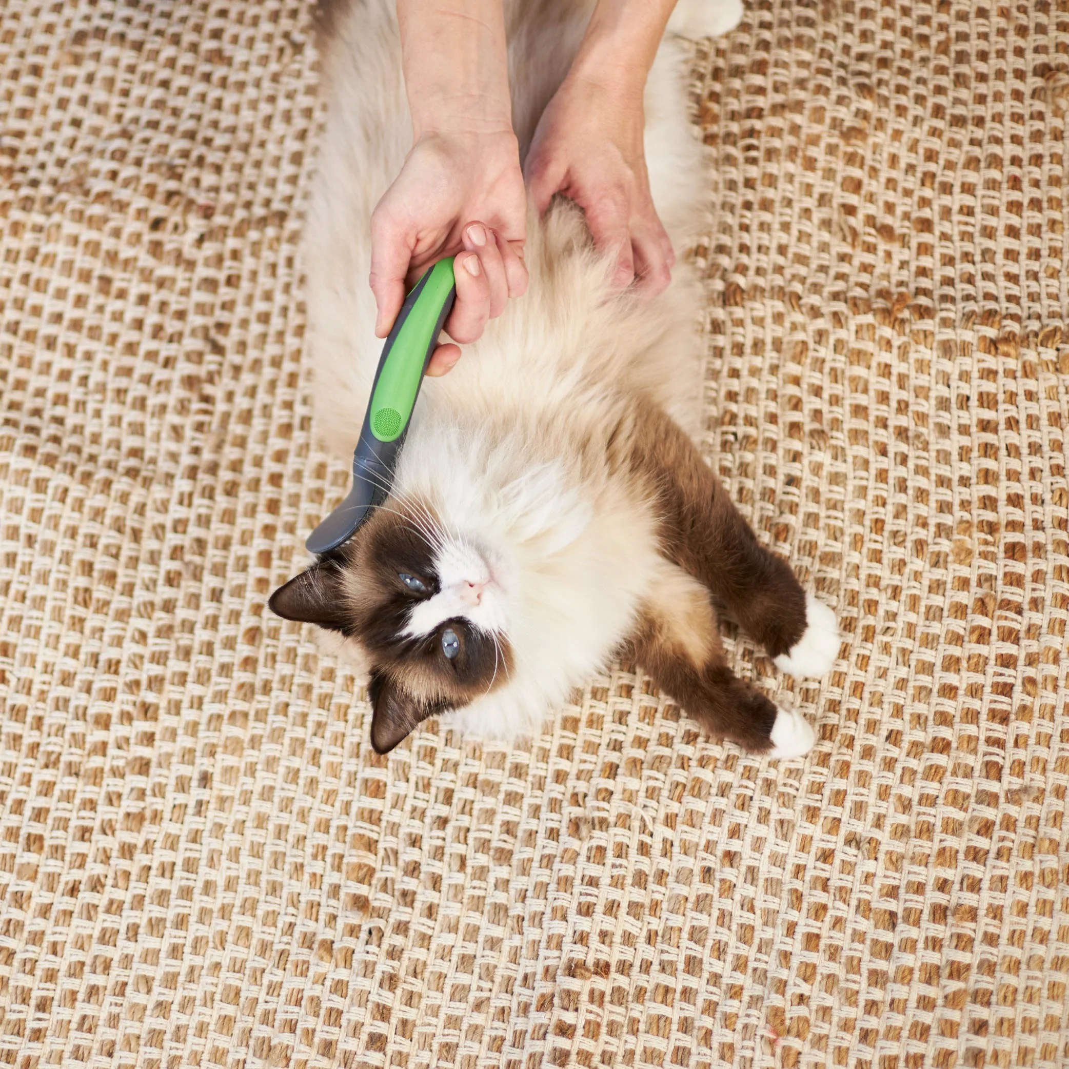 Cat Slicker Brush - Image 6