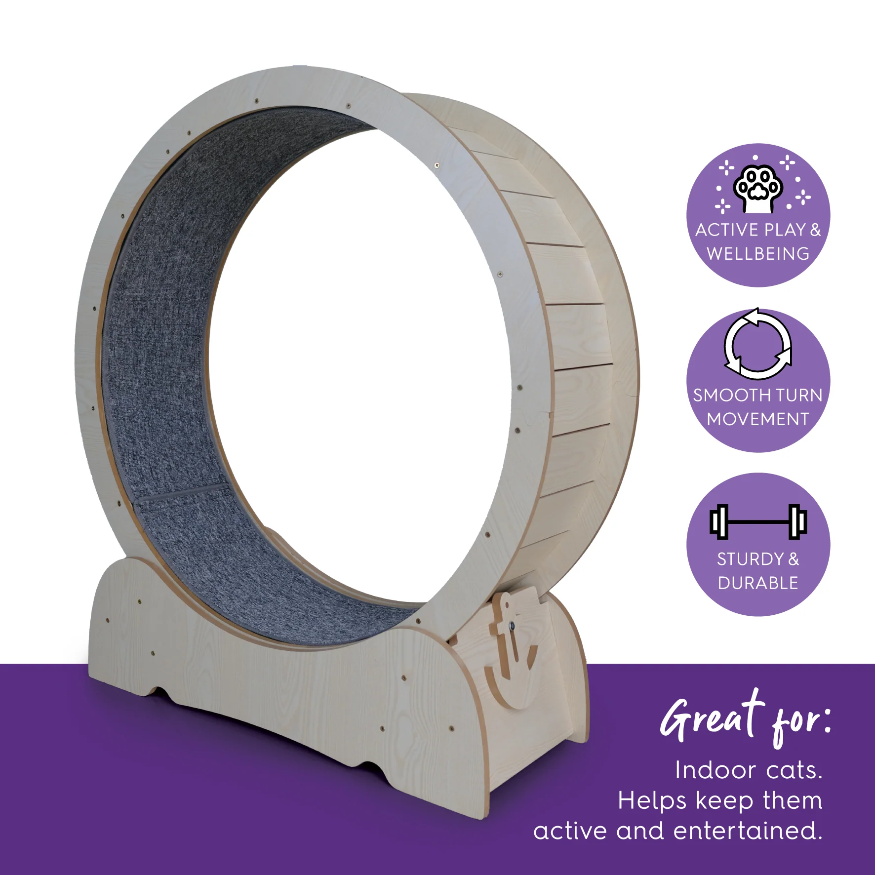 Cat Workout Wheel - Image 5