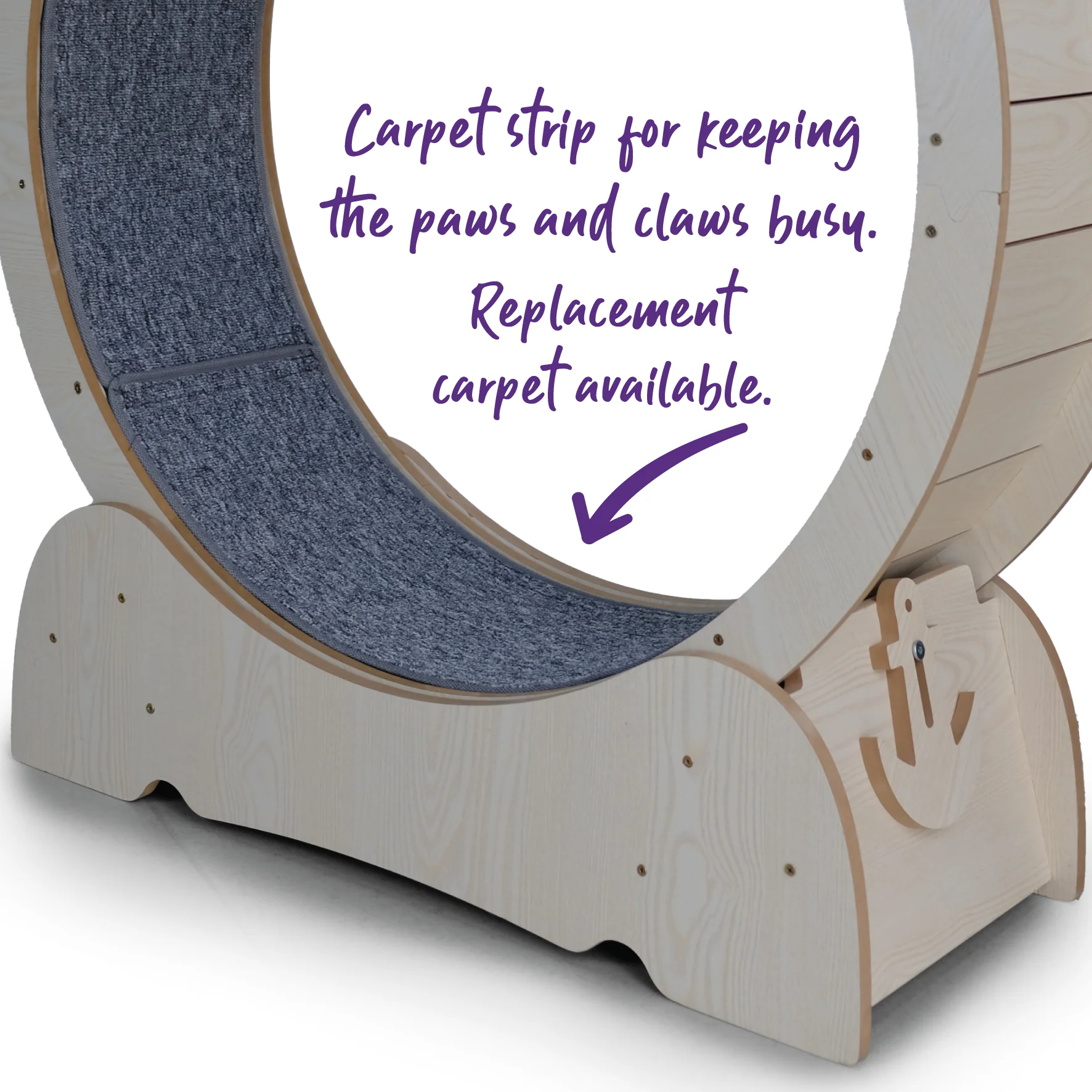 Cat Workout Wheel - Image 6
