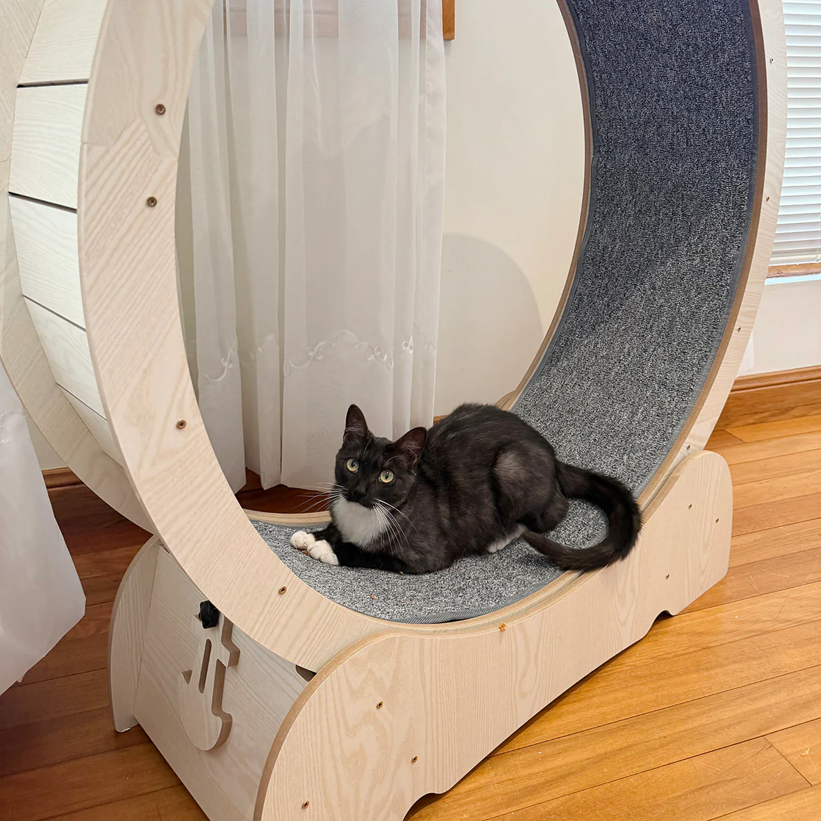 Cat Workout Wheel - Image 7