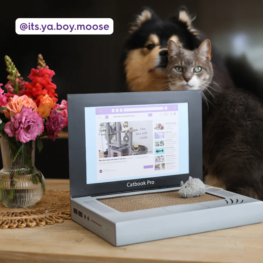 Catbook Pro - Cardboard Cat Laptop - Image 6