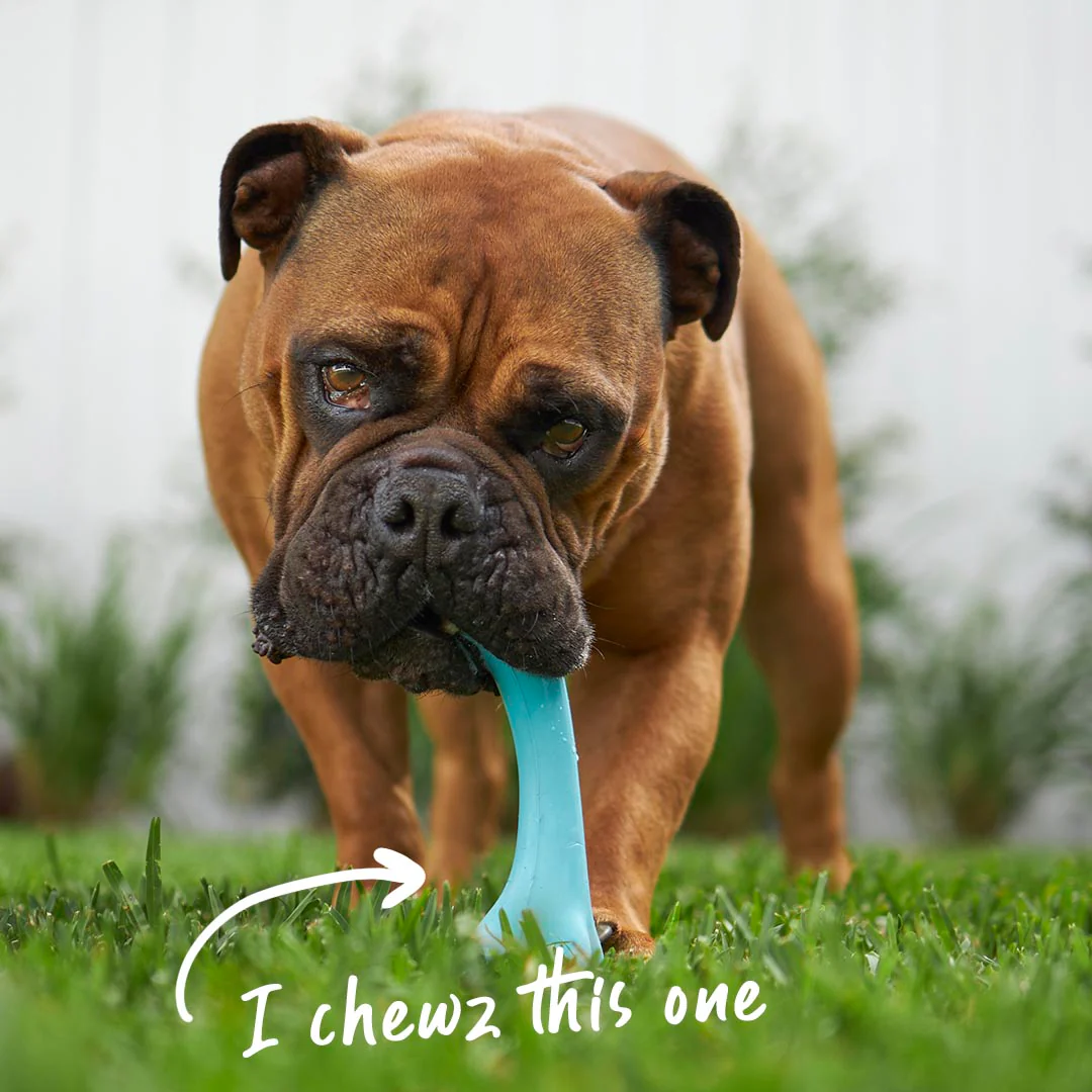 Catch N' Chew Dog Rubber Bone - Image 2