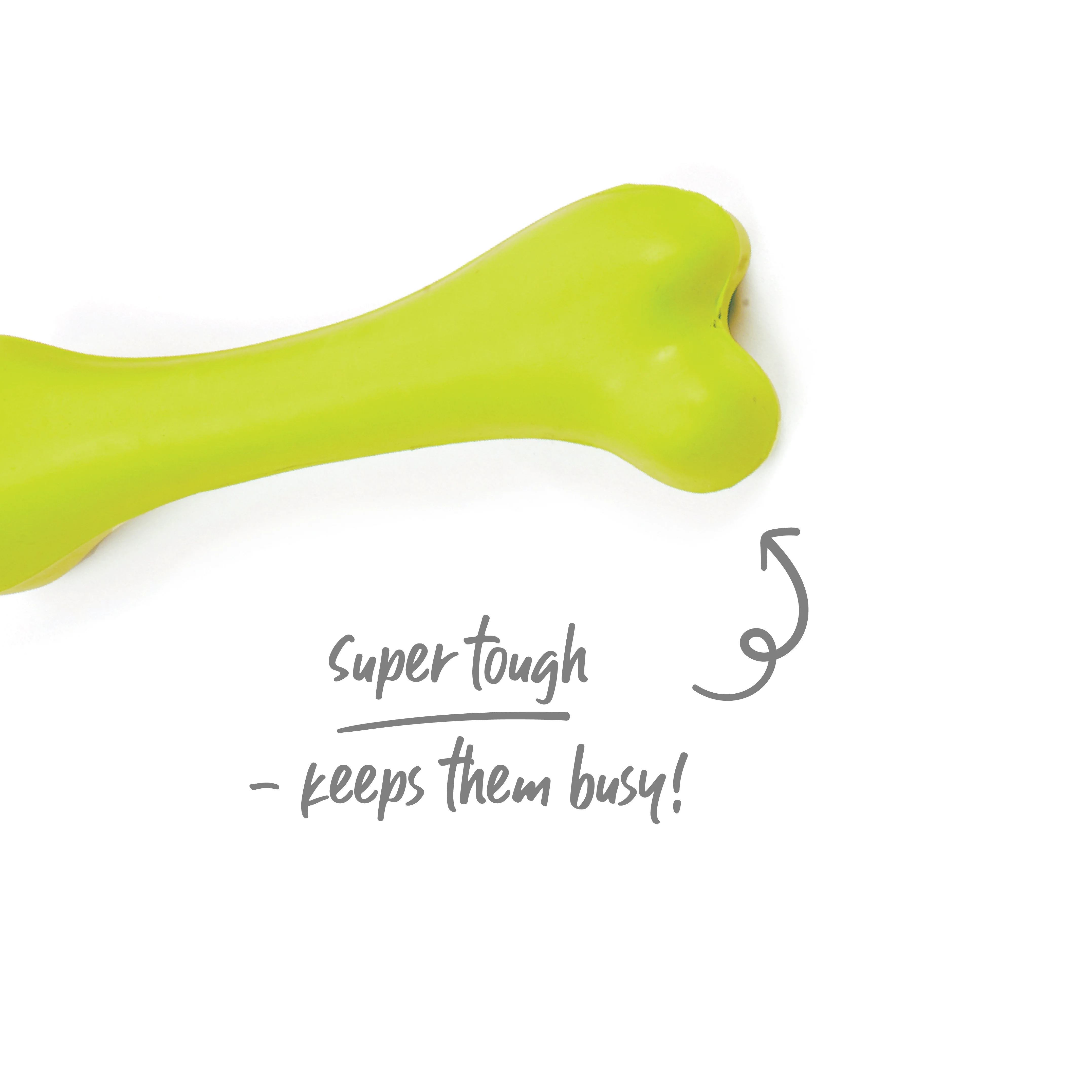 Catch N' Chew Dog Rubber Bone - Image 7