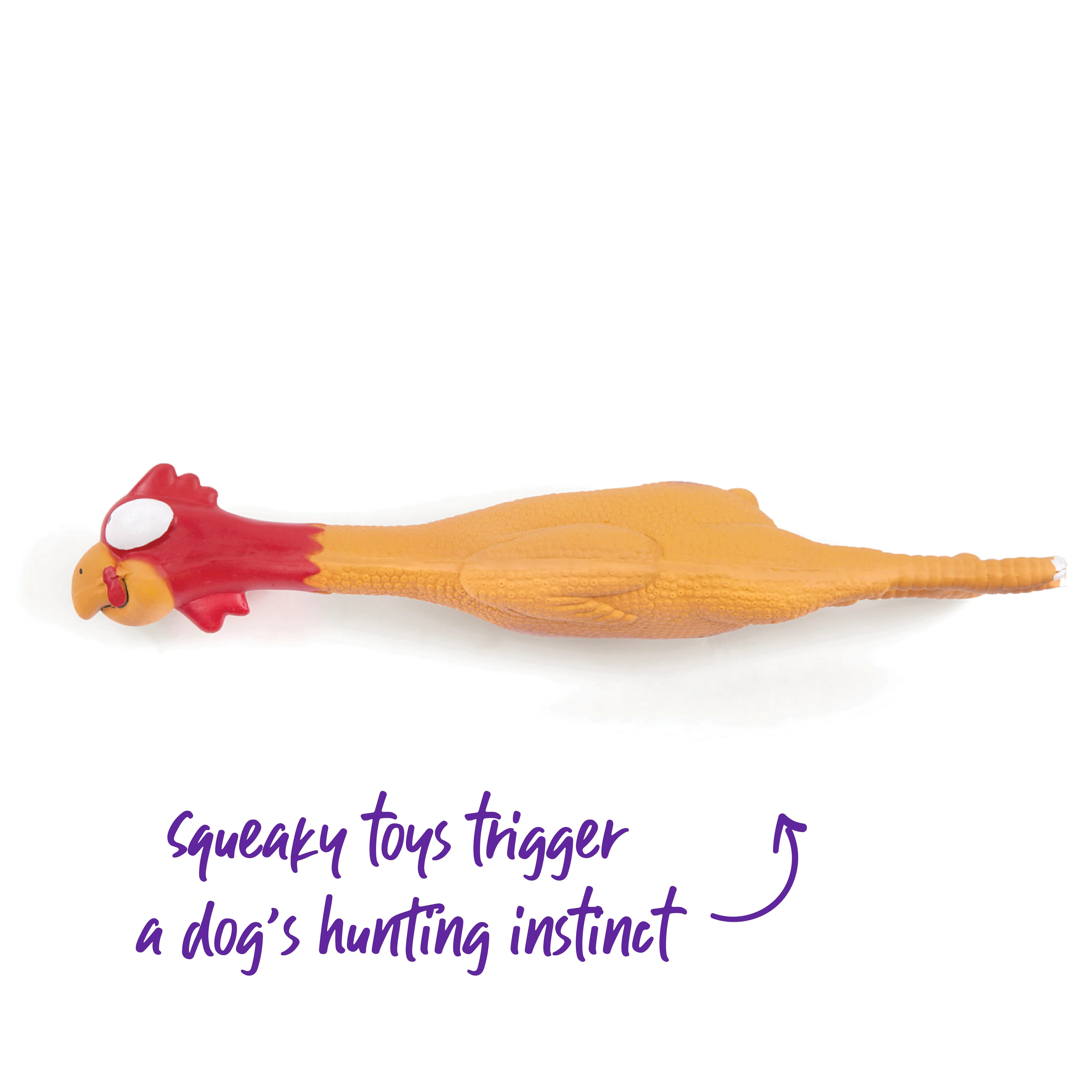 Cheeky Chicken Squeaky Dog Toy - Image 3