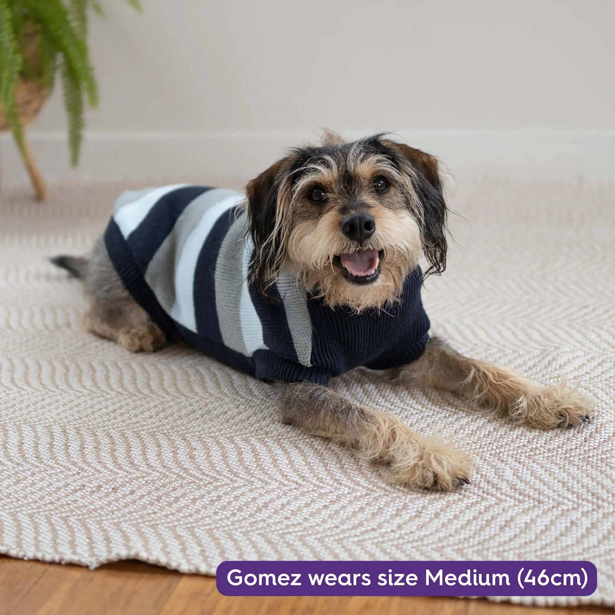 Chestie Dog Jumper - Blue - Image 4
