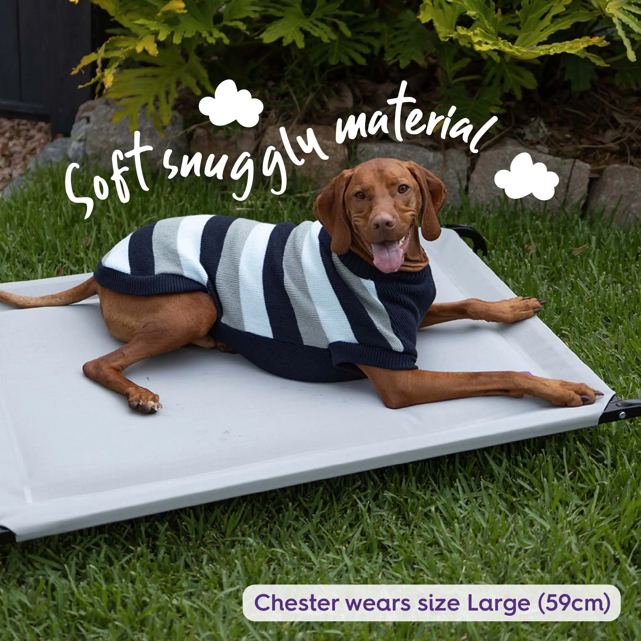 Chestie Dog Jumper - Blue - Image 5