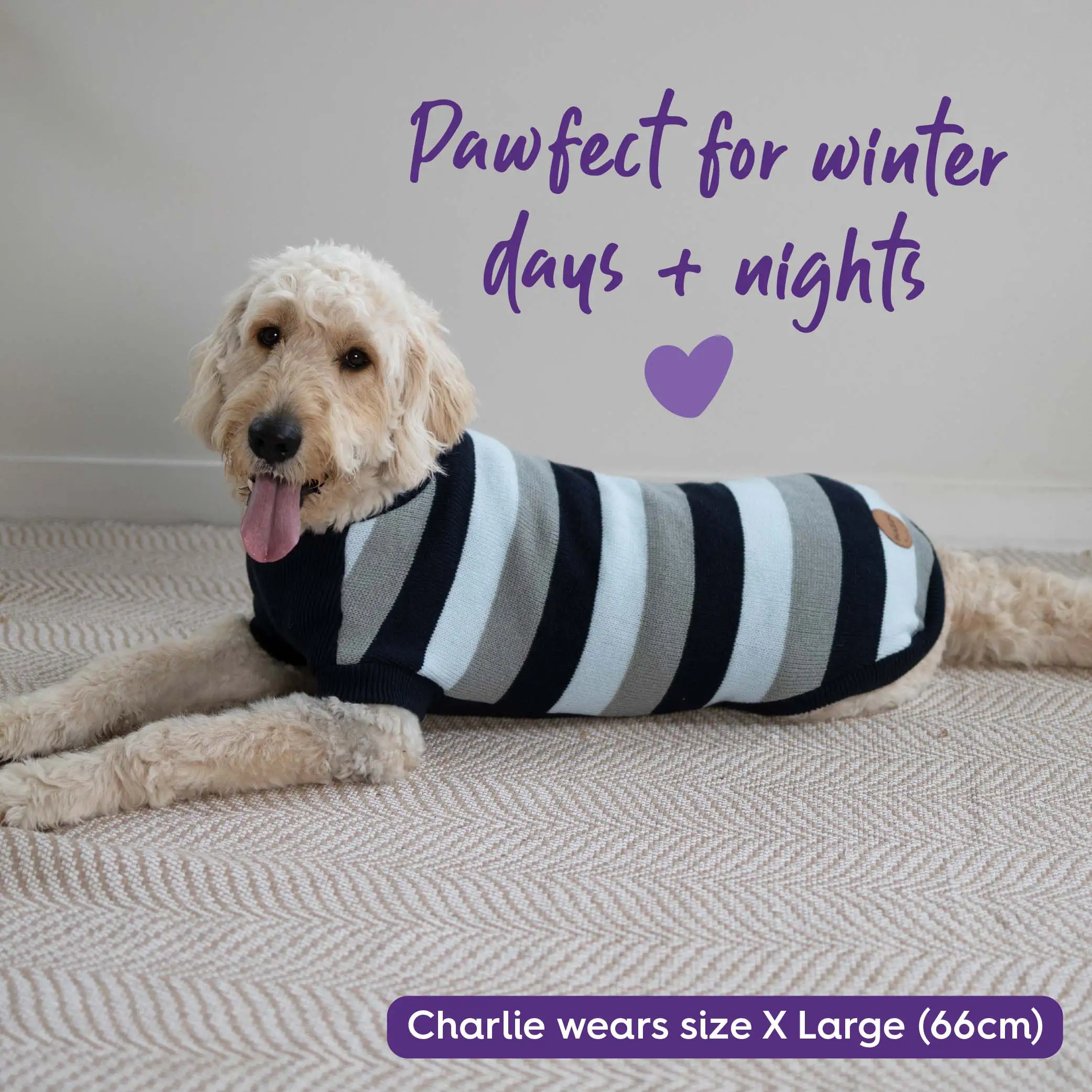 Chestie Dog Jumper - Blue - Image 7