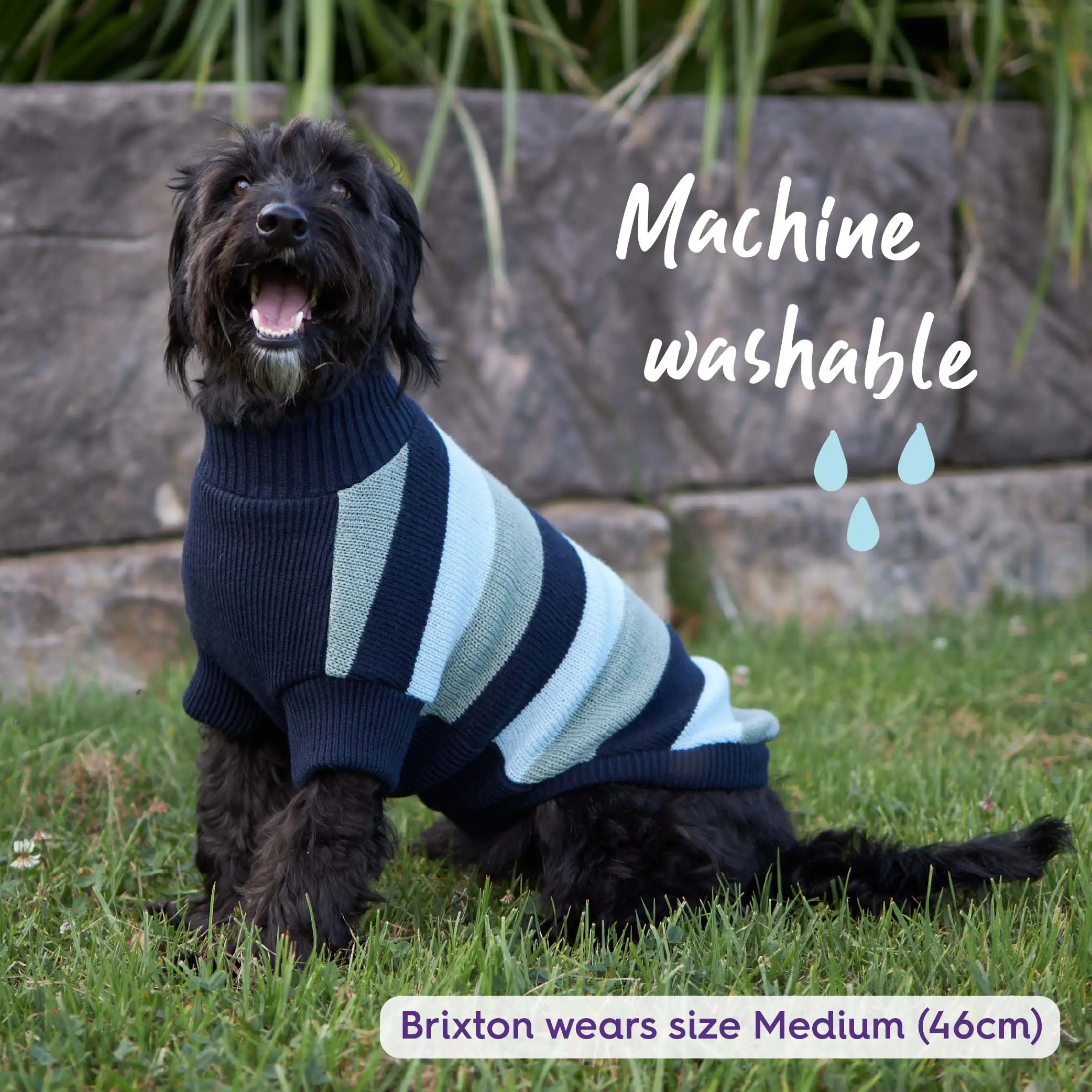 Chestie Dog Jumper - Blue - Image 8