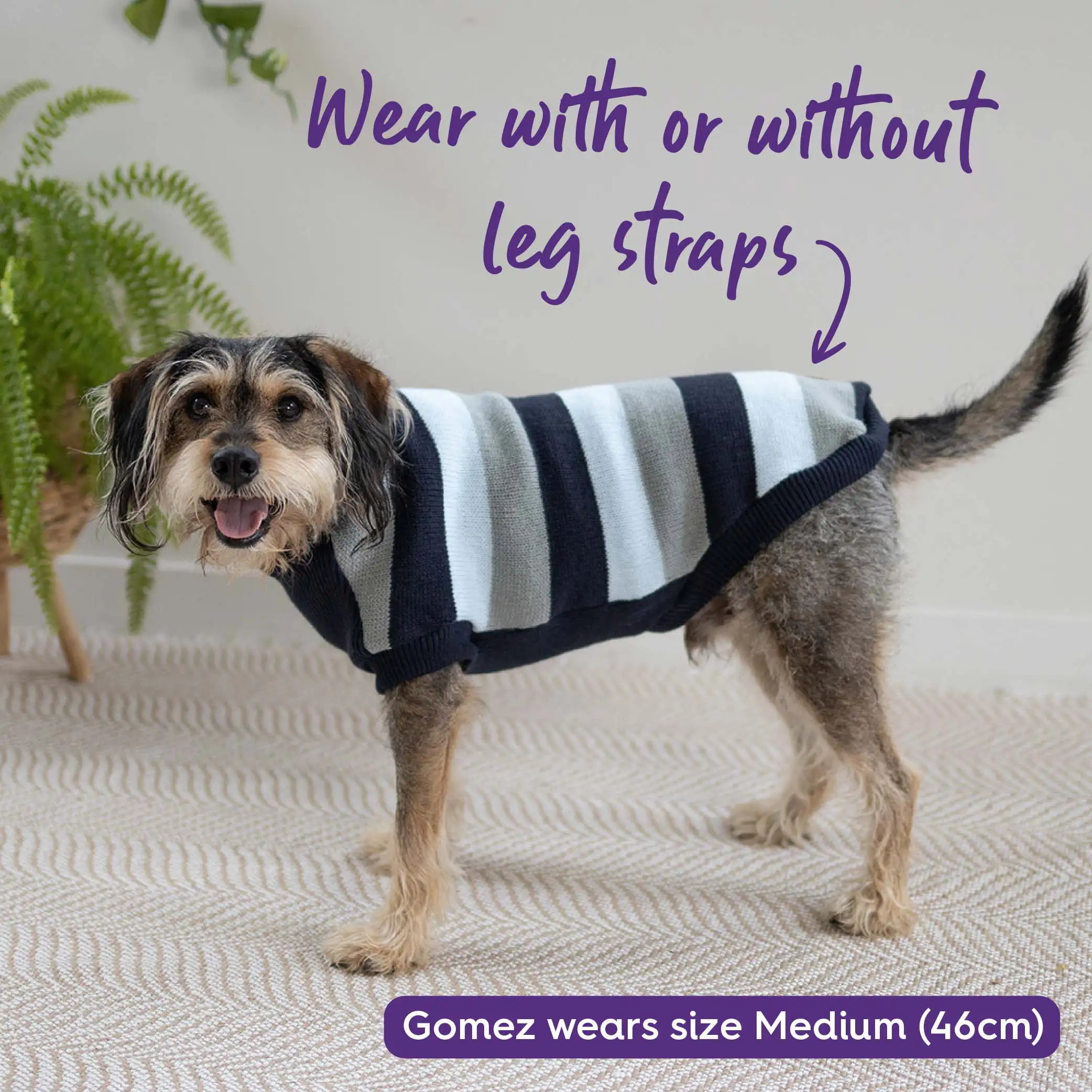 Chestie Dog Jumper - Blue - Image 9