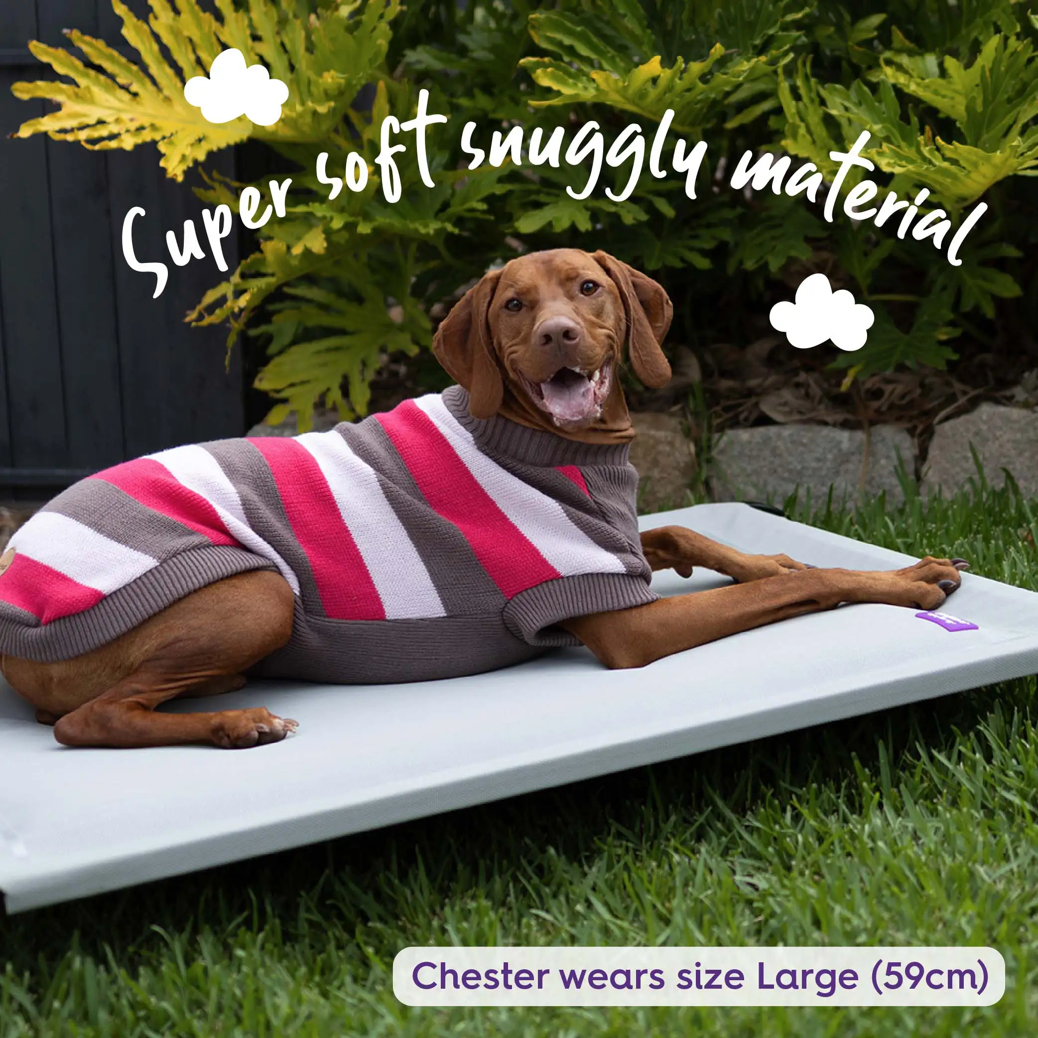 Chestie Dog Jumper - Pink - Image 2