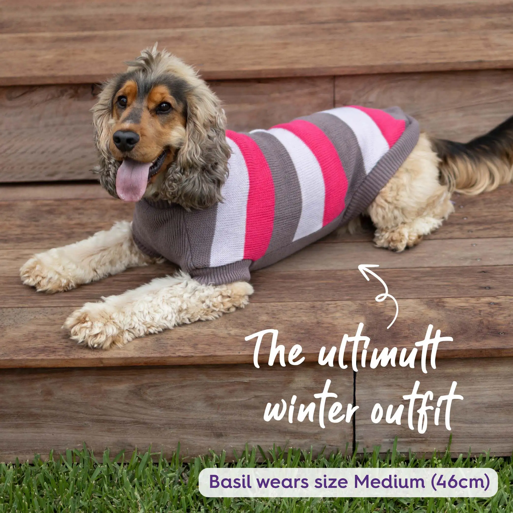 Chestie Dog Jumper - Pink - Image 4