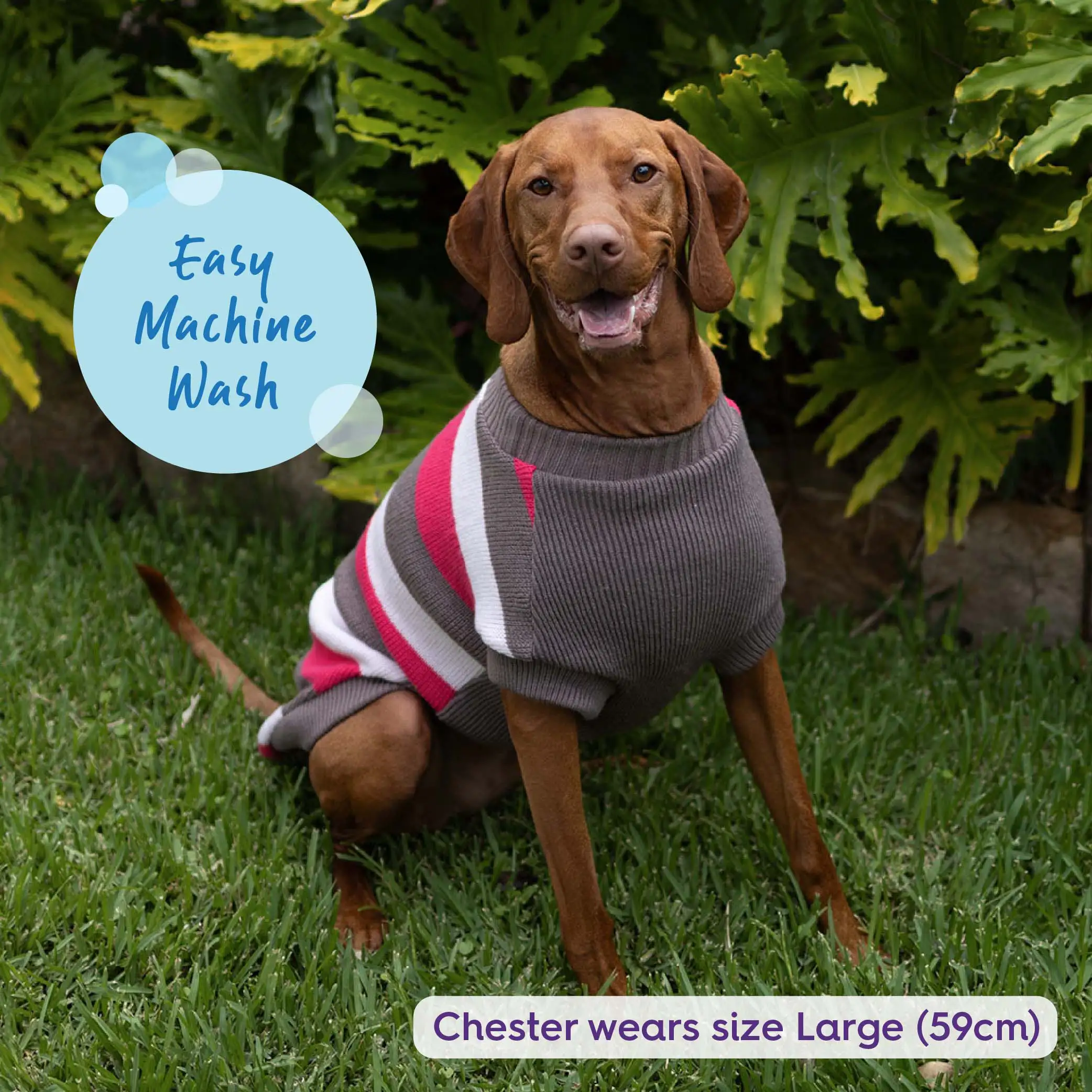 Chestie Dog Jumper - Pink - Image 5