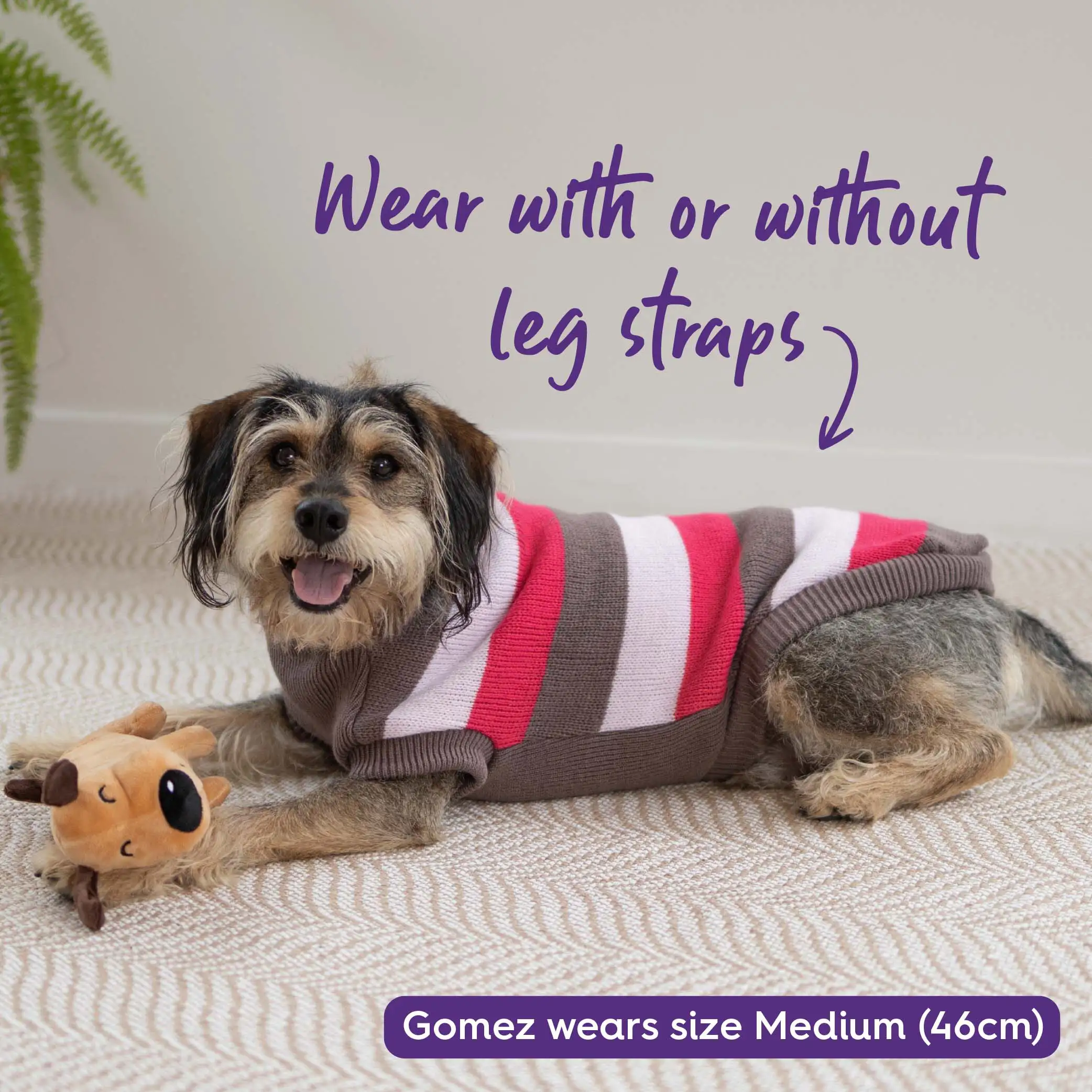 Chestie Dog Jumper - Pink - Image 6