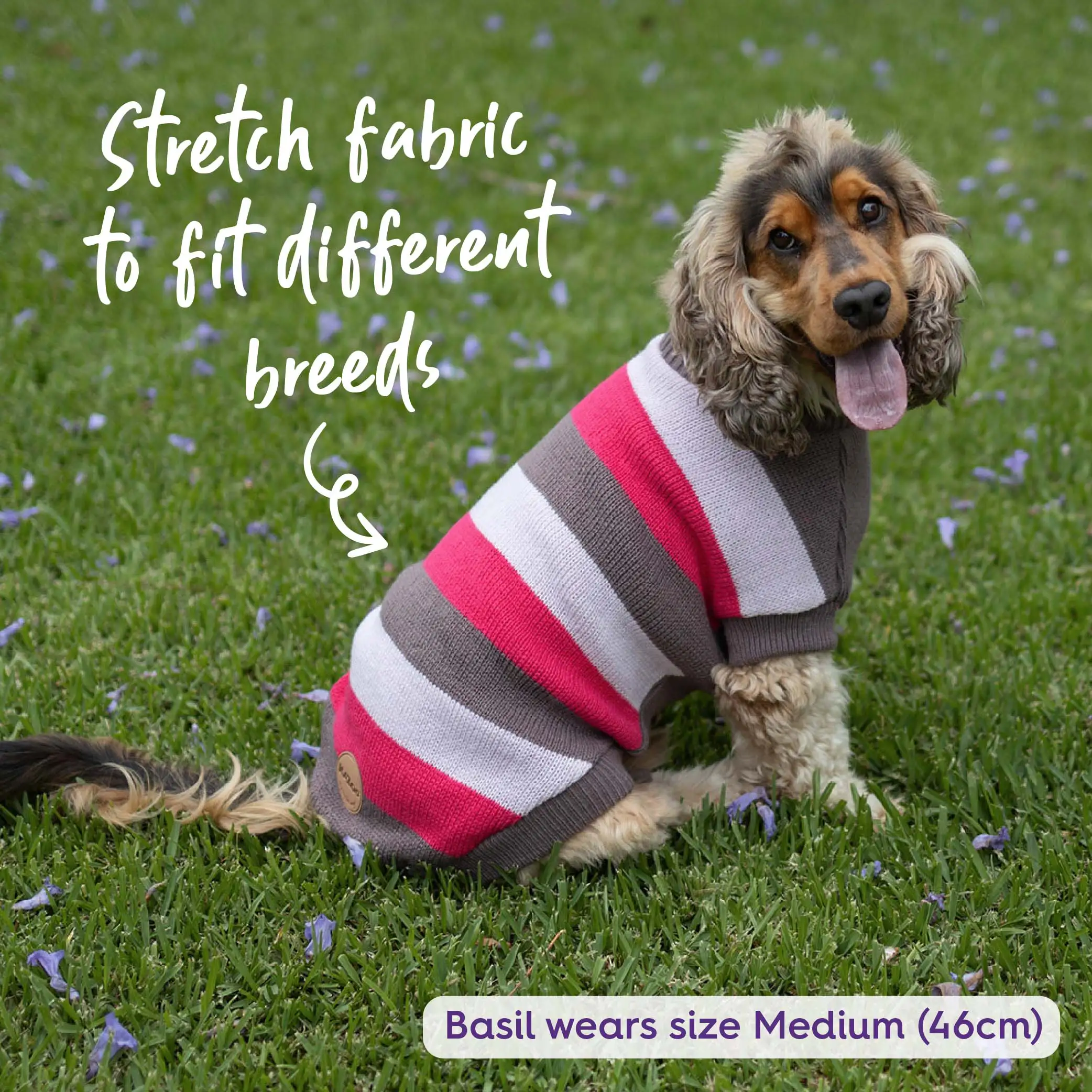 Chestie Dog Jumper - Pink - Image 7