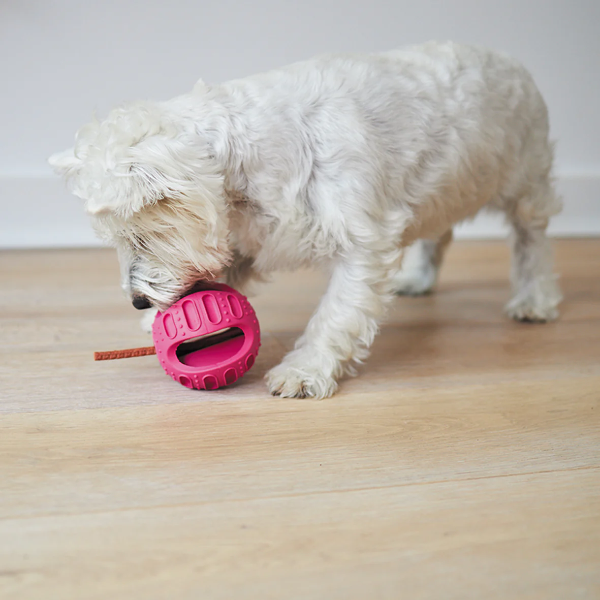 Chew & Treat Enrichment Dog Ball - Image 11