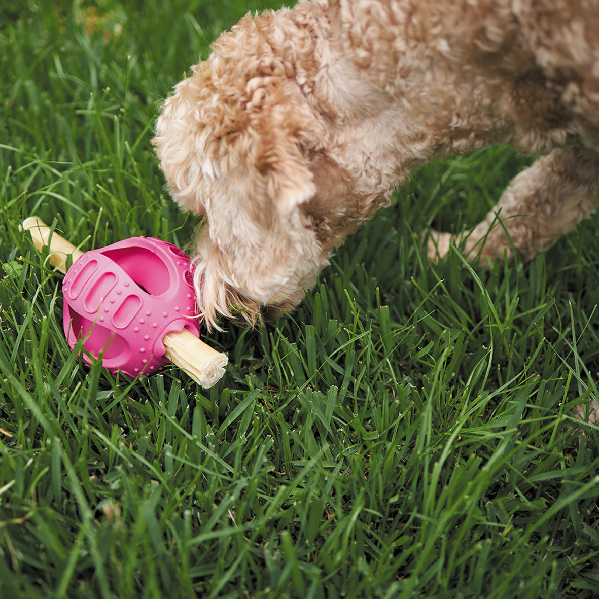 Chew & Treat Enrichment Dog Ball - Image 12