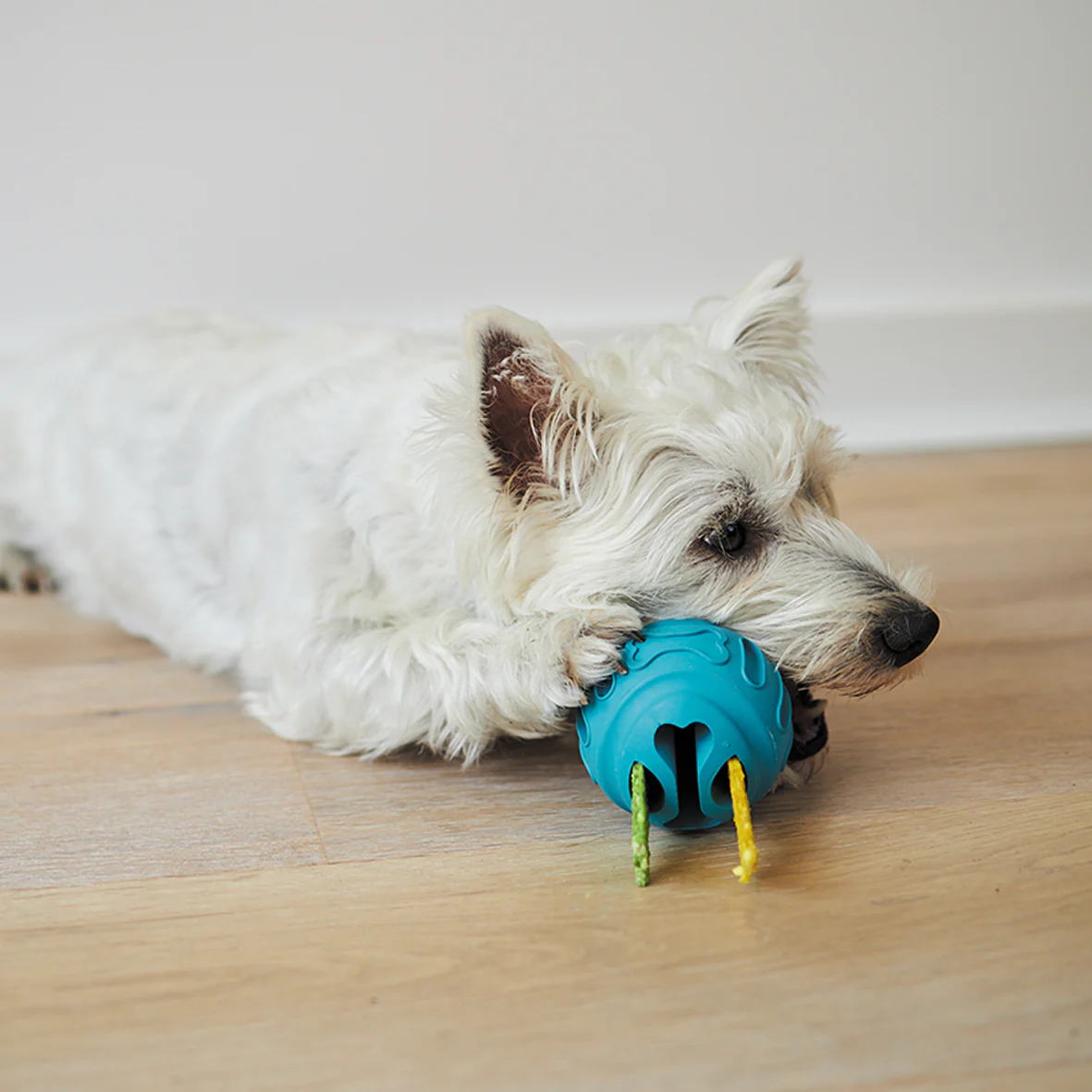 Chew & Treat Enrichment Dog Ball - Image 3
