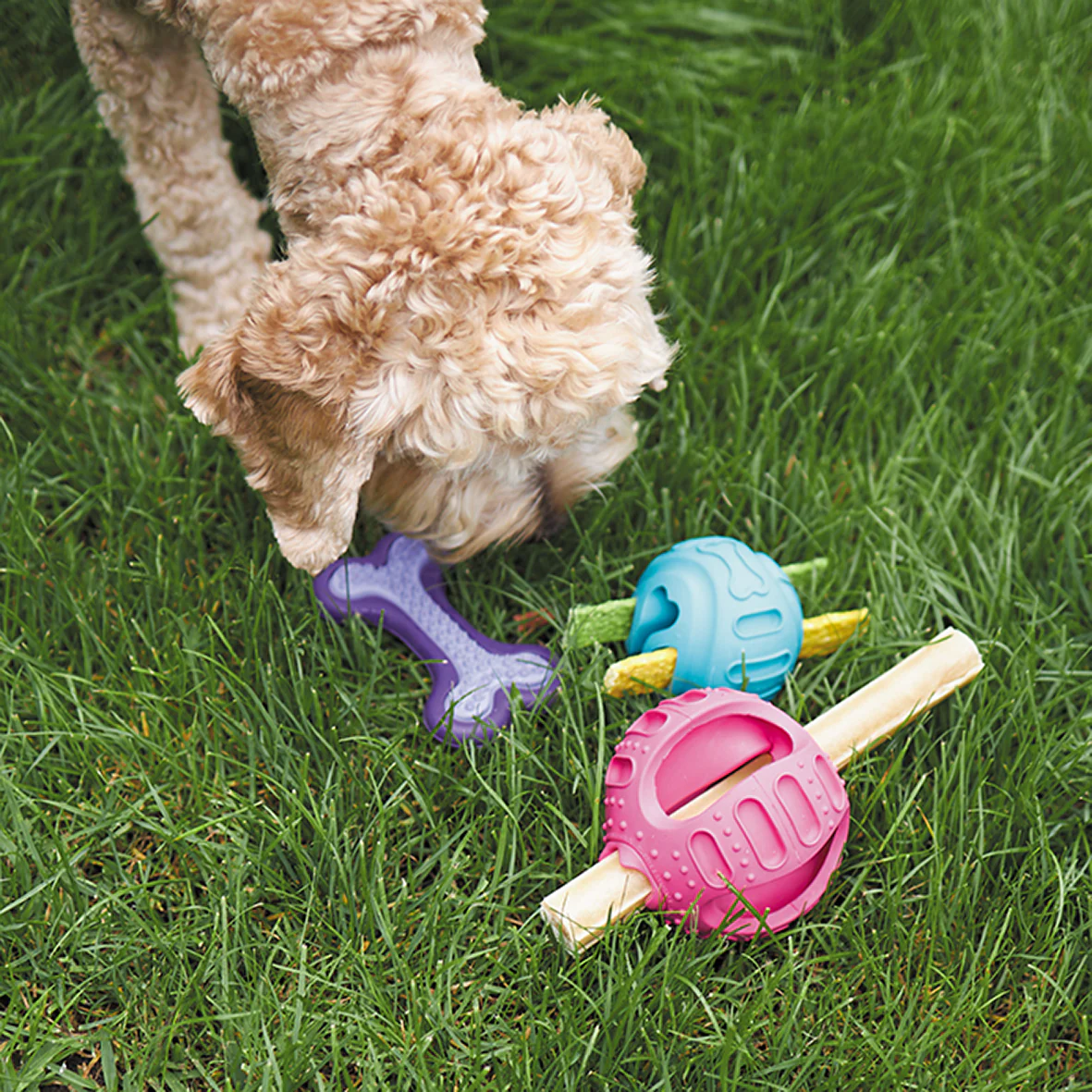 Chew & Treat Enrichment Dog Ball - Image 4