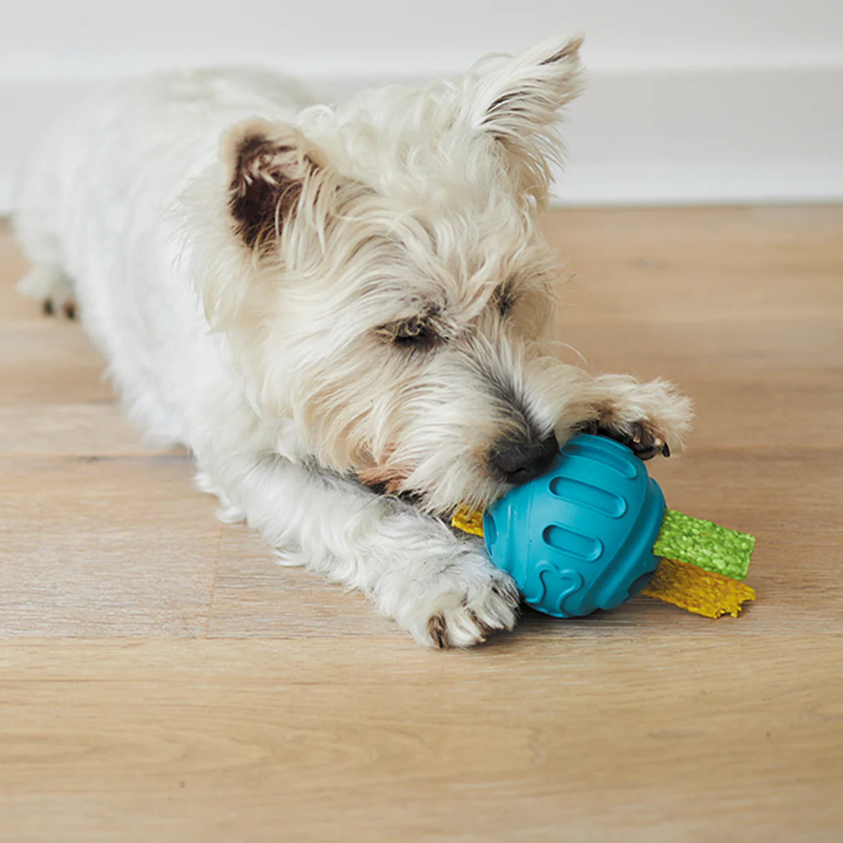 Chew & Treat Enrichment Dog Ball - Image 5