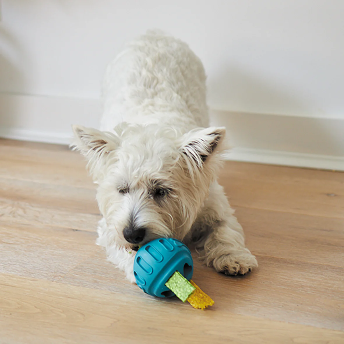 Chew & Treat Enrichment Dog Ball - Image 6