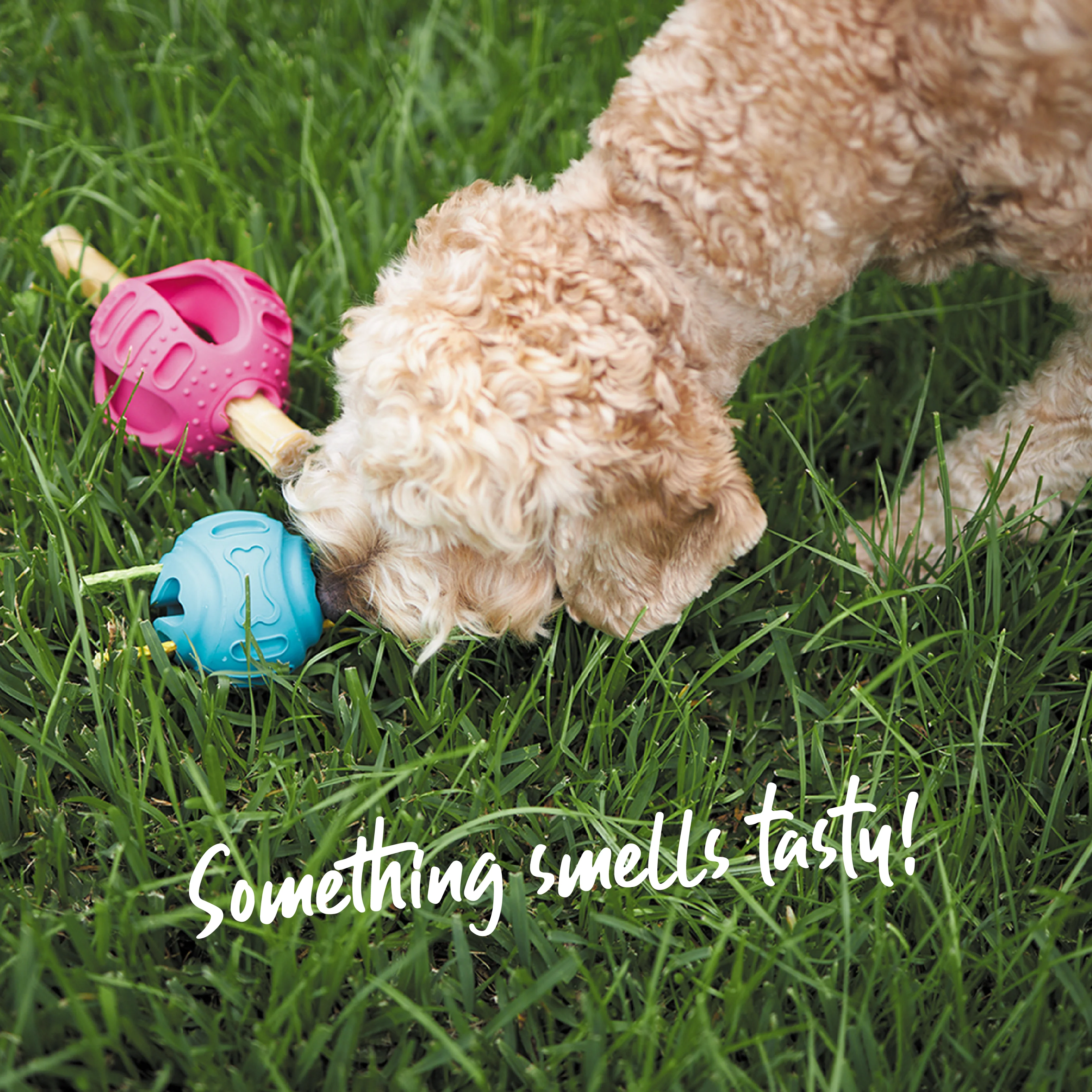 Chew & Treat Enrichment Dog Ball - Image 7