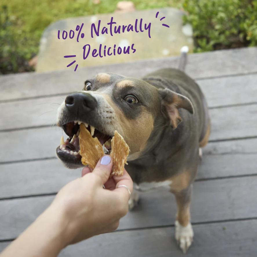 Aussie Chicken Breast Dog Treats - Image 2