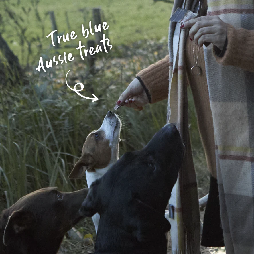 Aussie Chicken Liver Dog Treats - Image 2