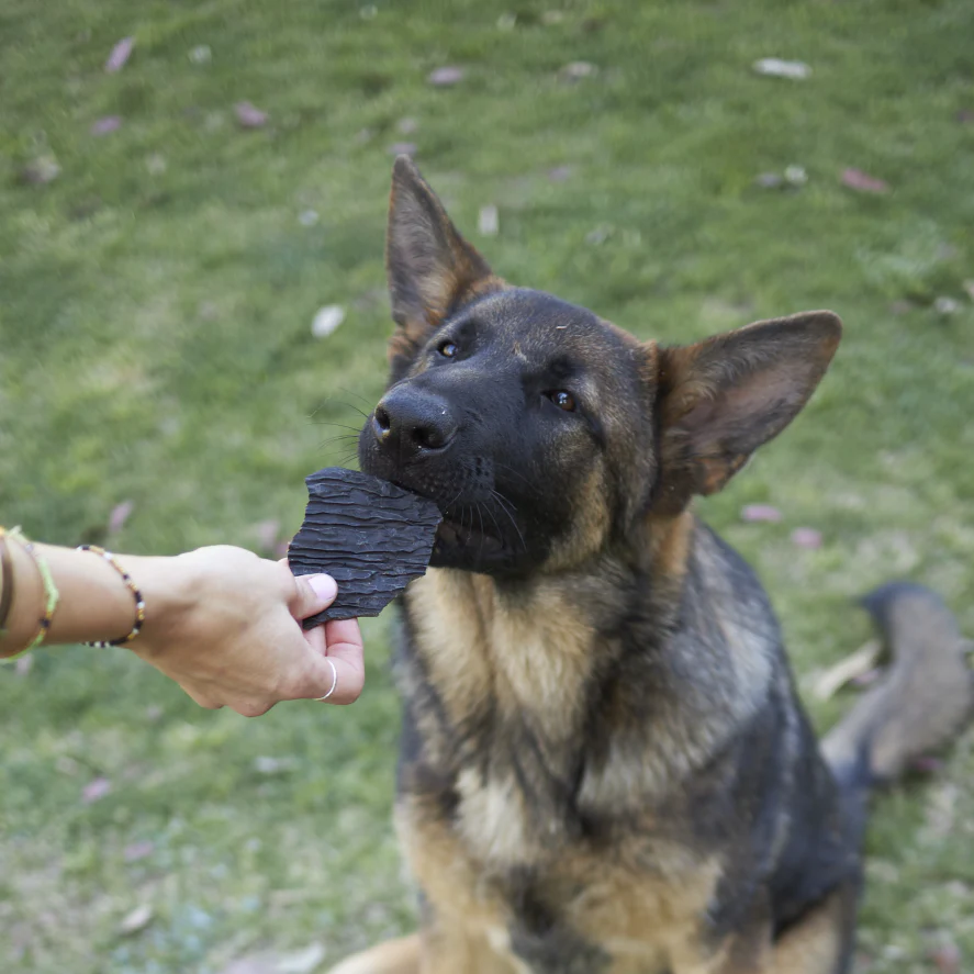 Aussie Chicken Liver Dog Treats - Image 6