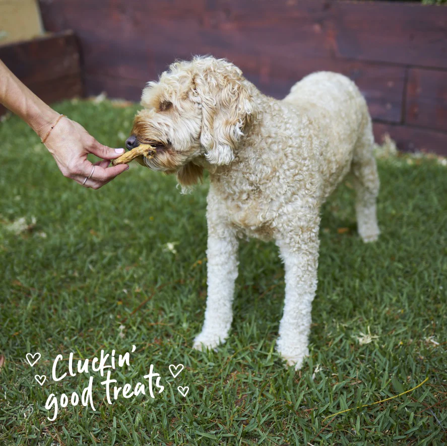 Aussie Chicken Necks Dog Treats - Image 4