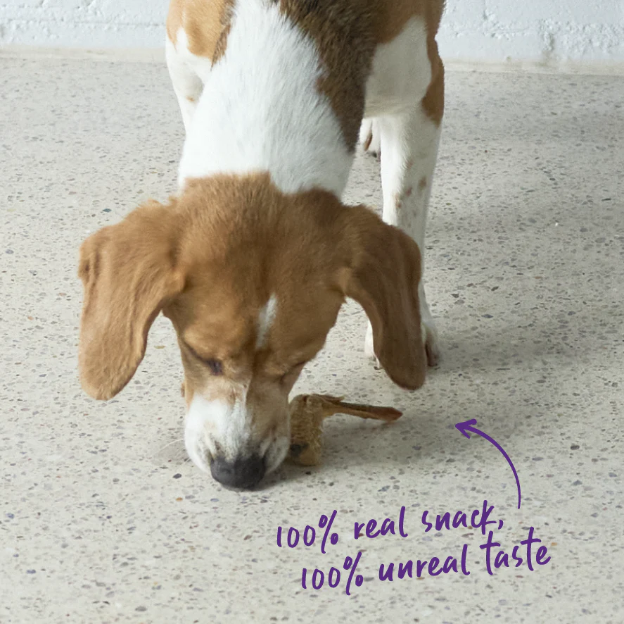 Aussie Chicken Wings Dog Treats - Image 2