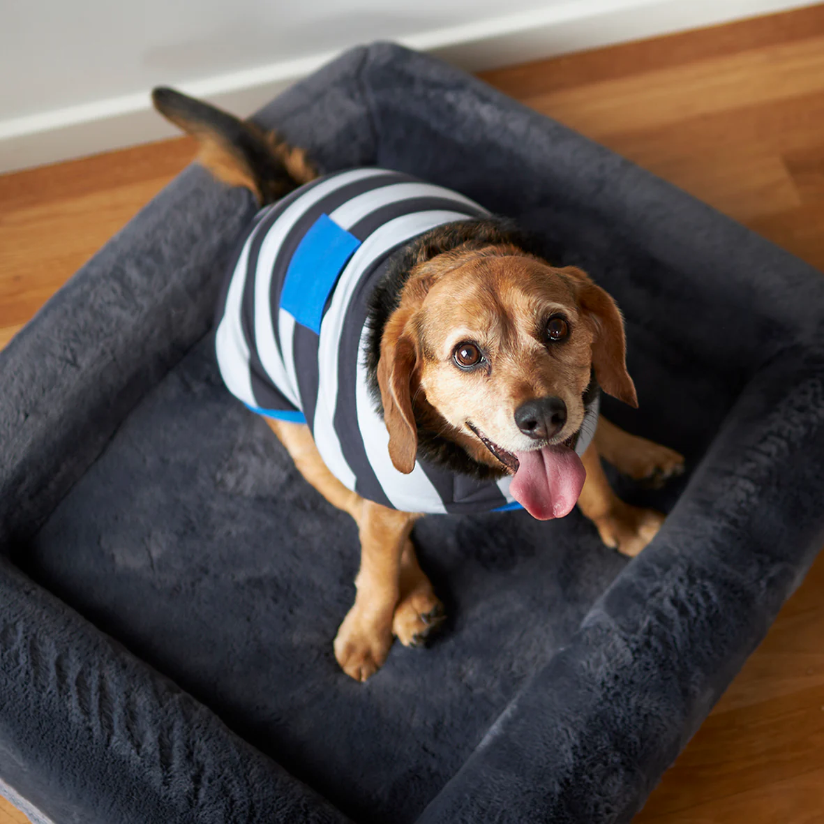 Chunky Stripe Dog Snuggie - Image 10