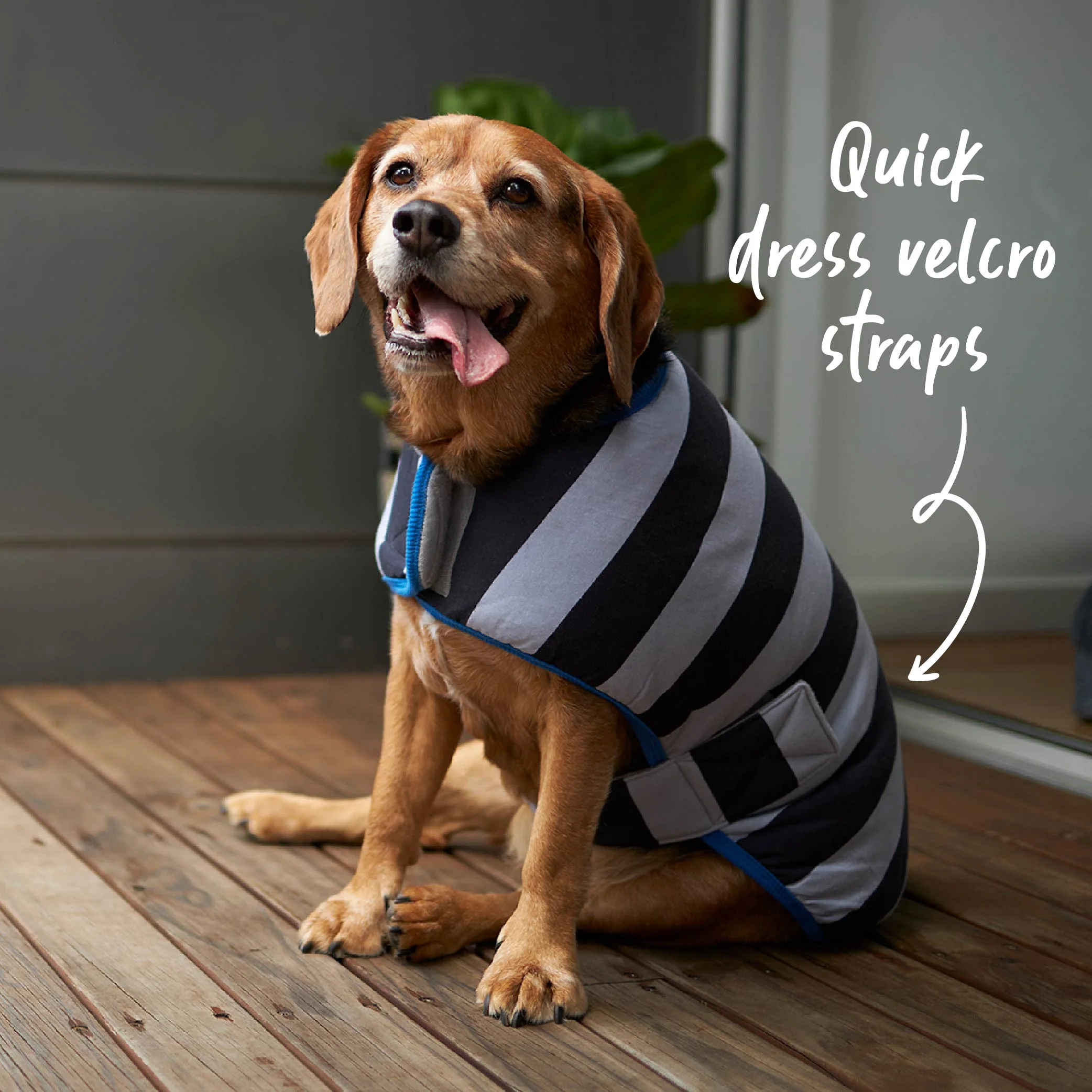 Chunky Stripe Dog Snuggie - Image 3