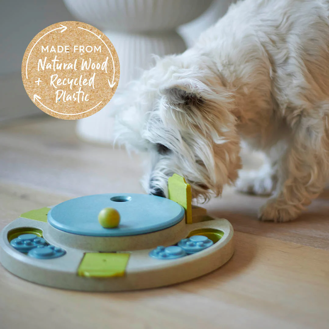 Circle Slider Interactive Cat Puzzle Toy - Image 5