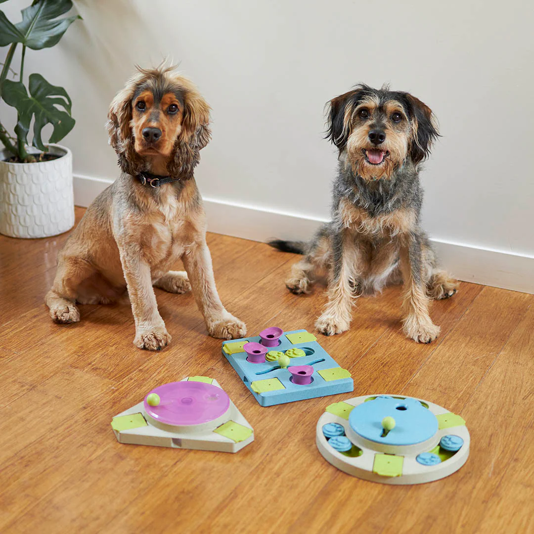 Circle Slider Interactive Dog Puzzle For Play - Image 4