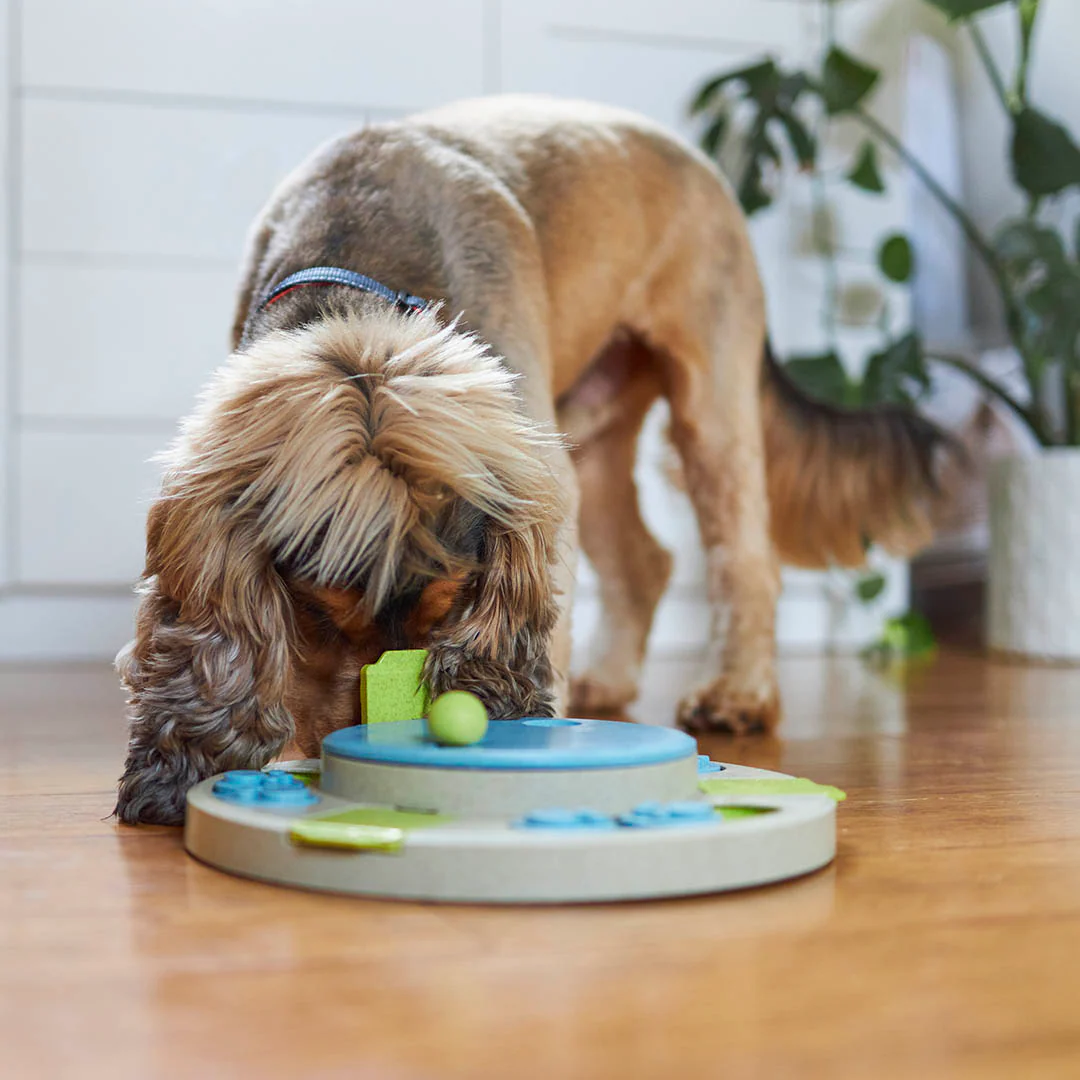 Circle Slider Interactive Dog Puzzle For Play - Image 6