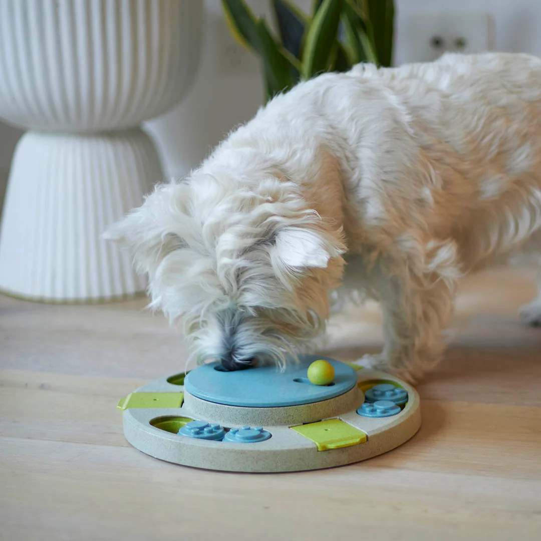 Circle Slider Interactive Dog Puzzle For Play - Image 8