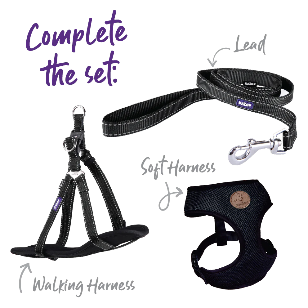 Classic Easy-clip Dog Collar - Black - Image 4