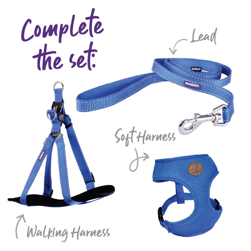 Classic Easy-clip Dog Collar - Blue - Image 4