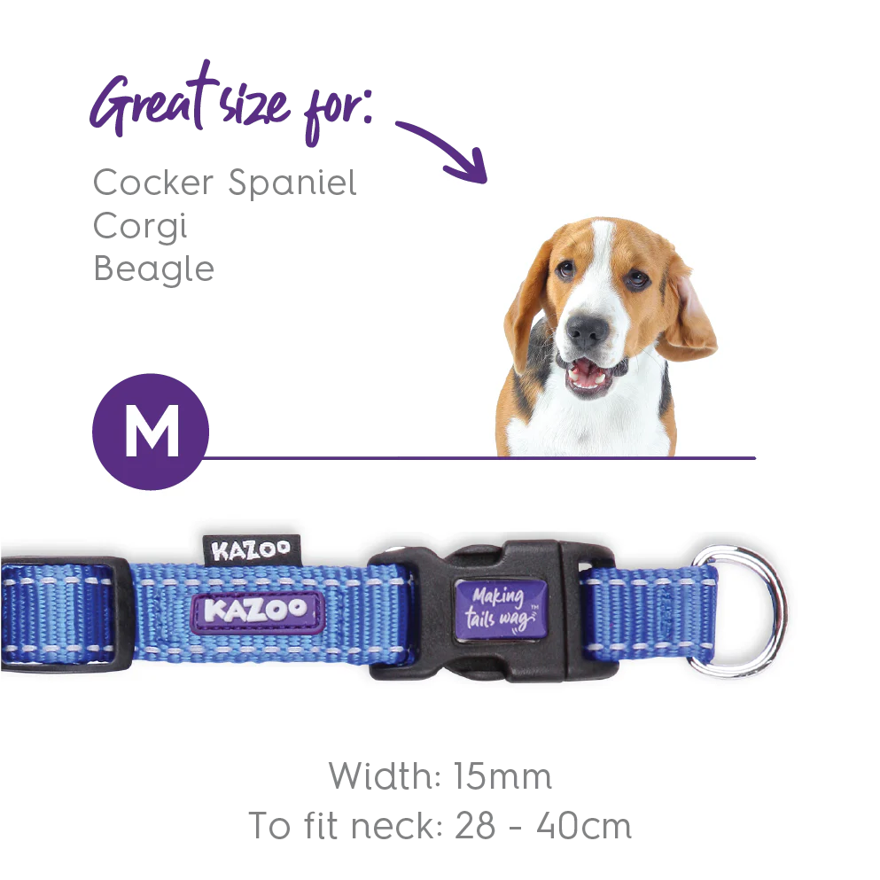 Classic Easy-clip Dog Collar - Blue - Image 7