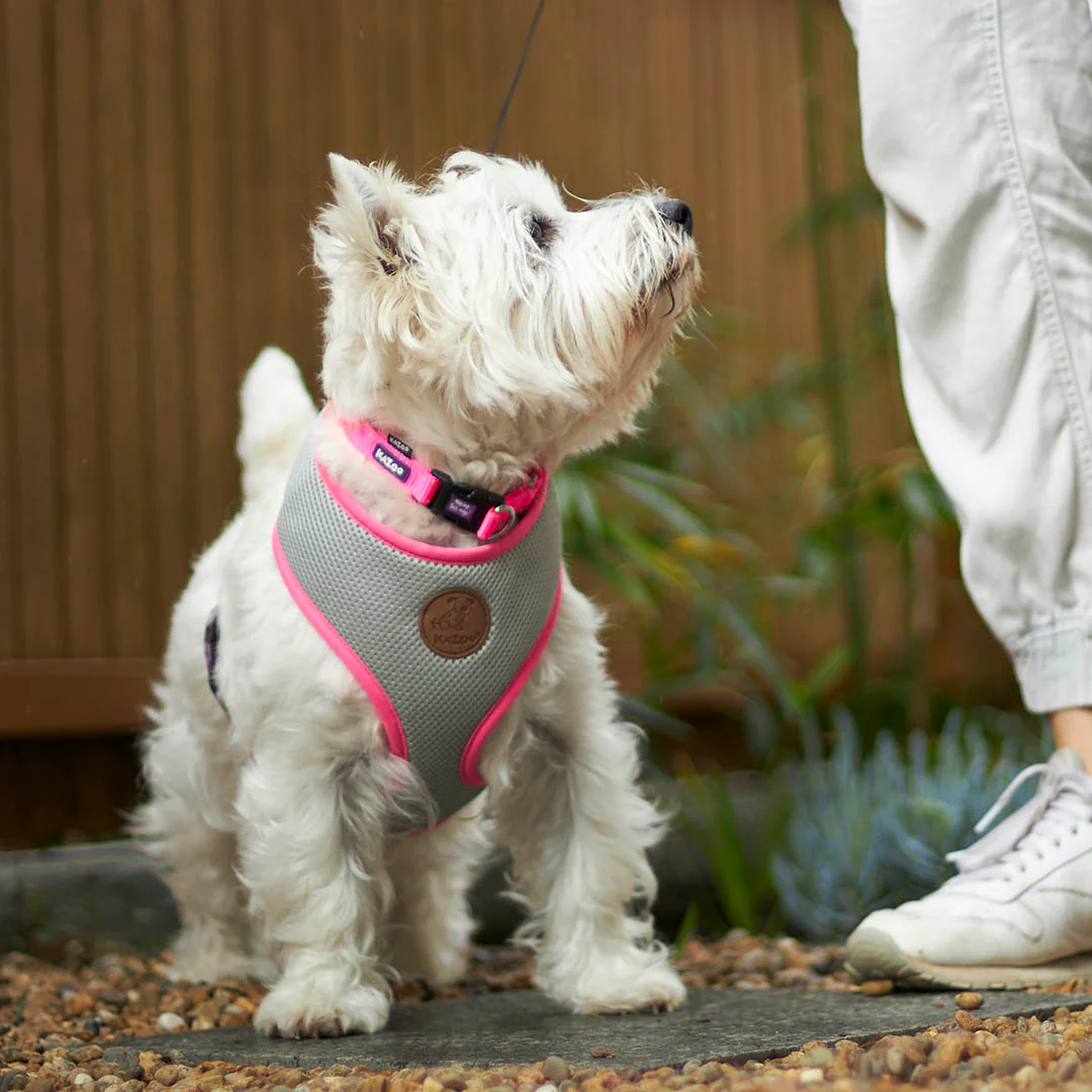 Classic Easy-clip Dog Collar - Pink - Image 5