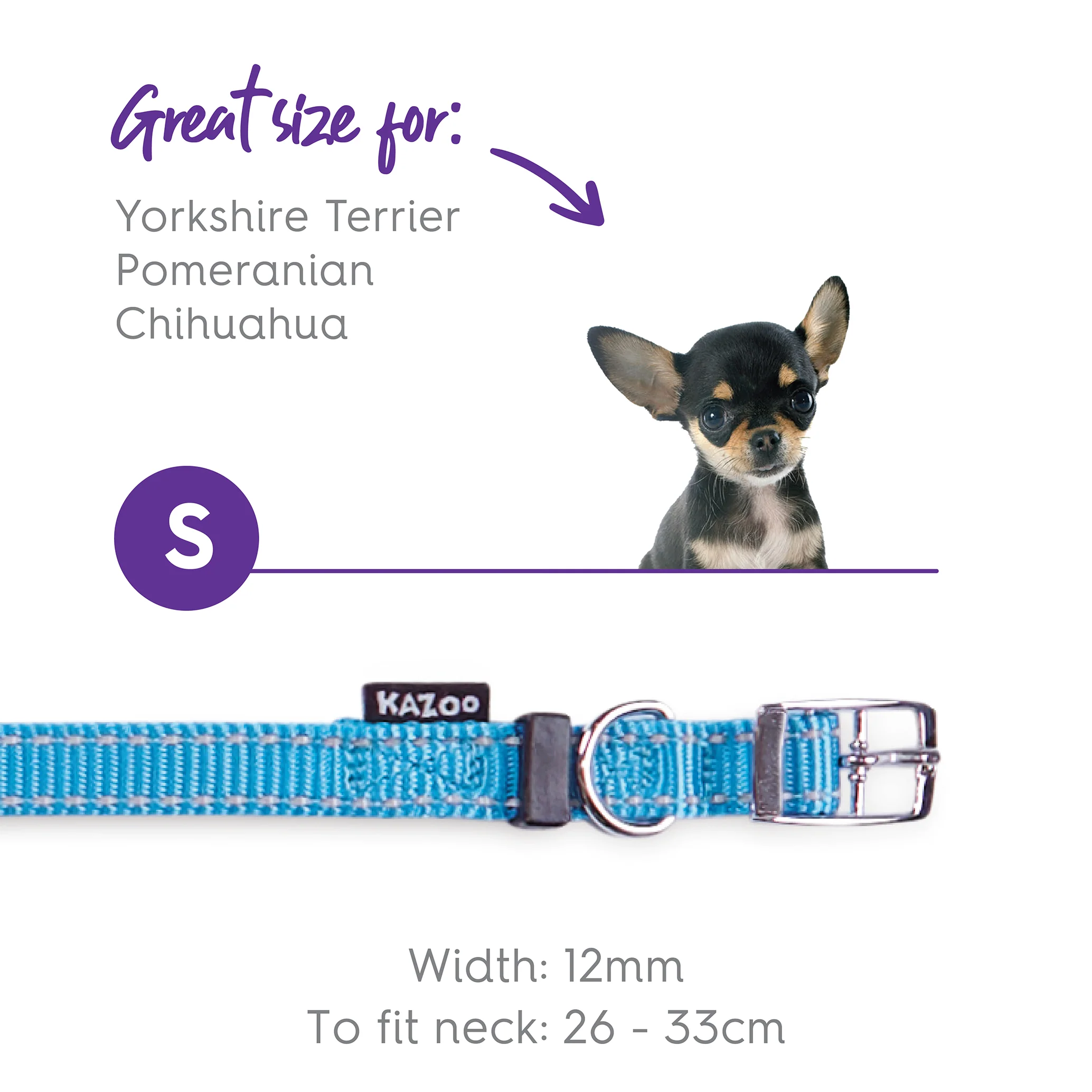 Classic Dog Collar - Aqua - Image 5