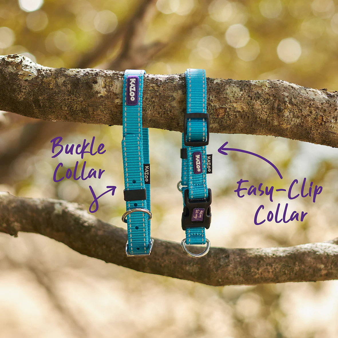 Classic Dog Collar - Aqua - Image 6