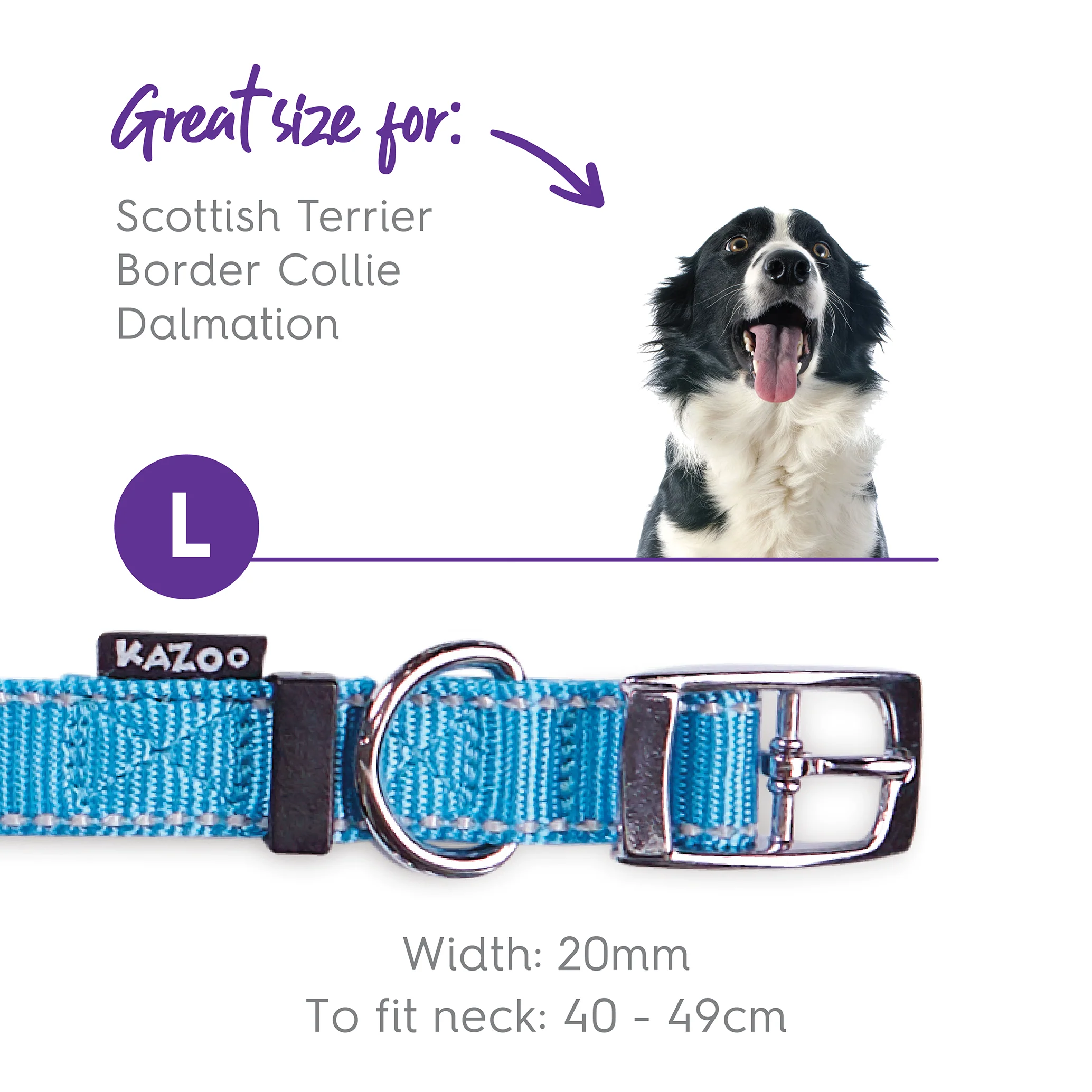 Classic Dog Collar - Aqua - Image 8