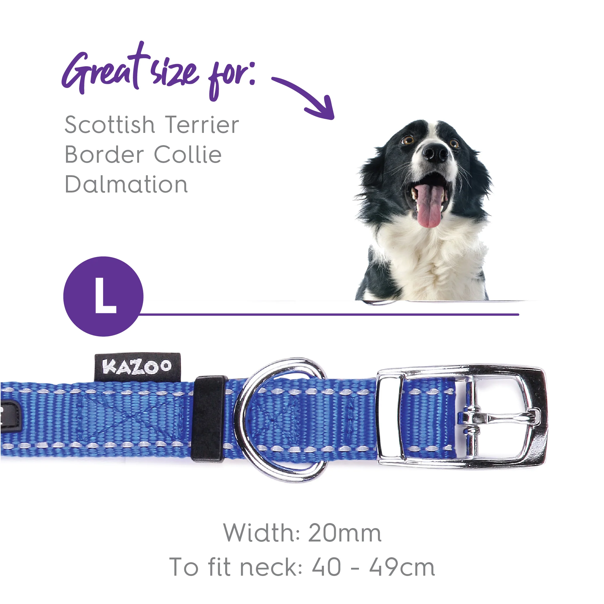 Classic Dog Collar - Blue - Image 9