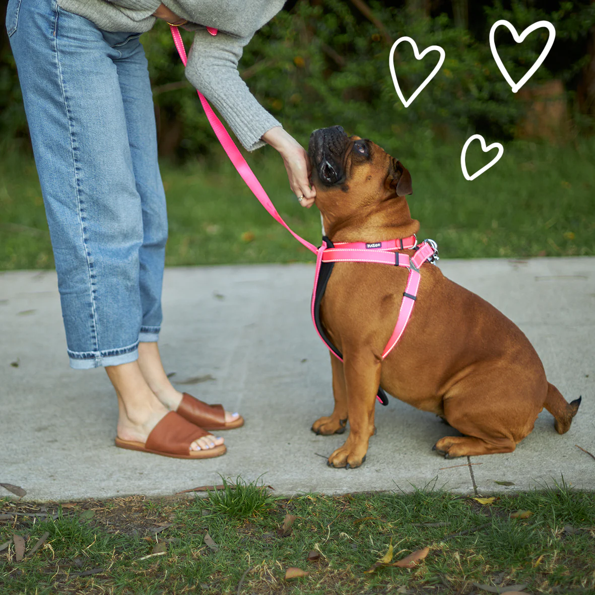 Classic Dog Collar - Pink - Image 2