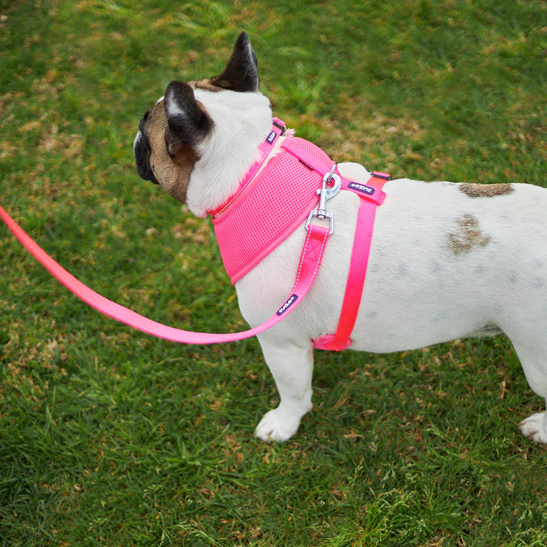 Classic Dog Lead - Pink - Image 10
