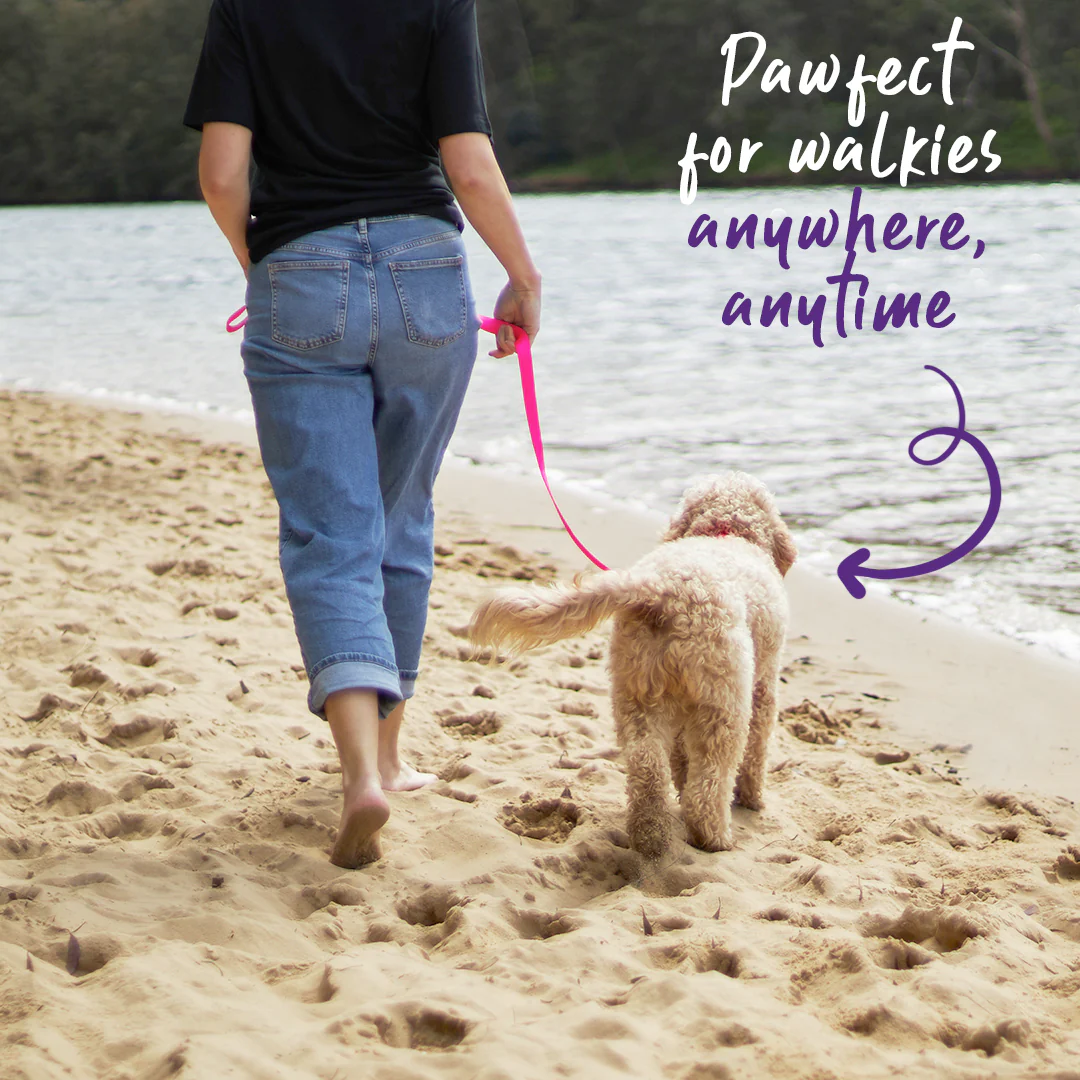 Classic Dog Lead - Pink - Image 7